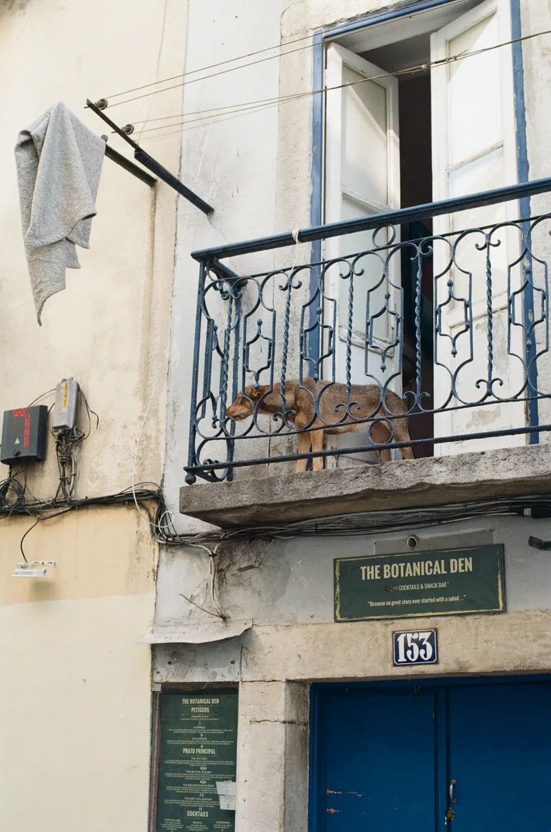 Lisbon