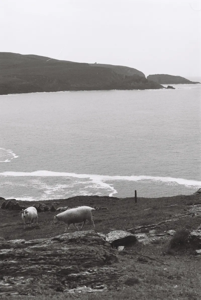 Mizen Peninsula, County Cork, Ireland