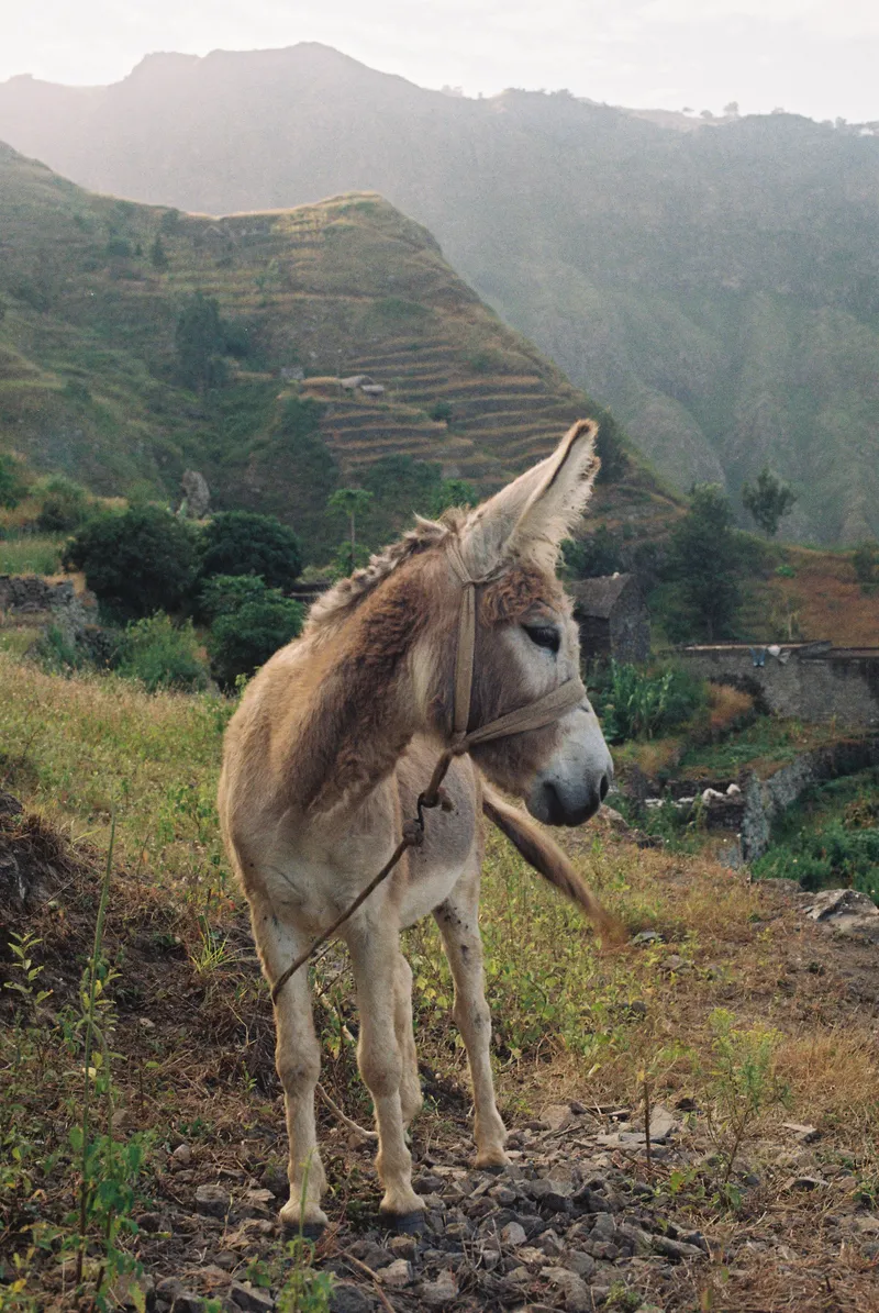 Santo Antao, Cape Verde