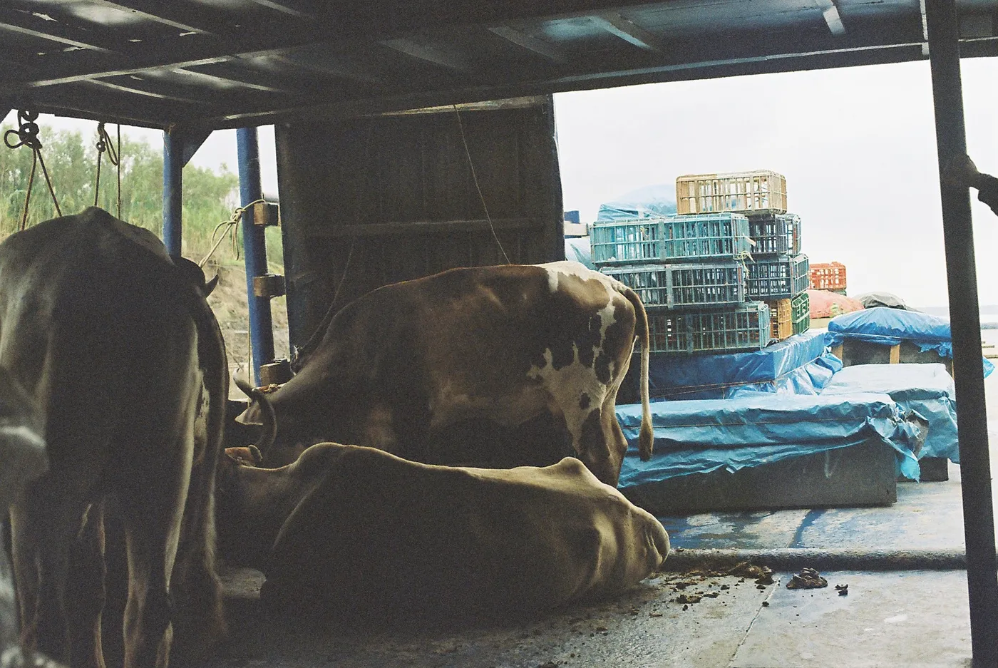 Amazon River Slow Boat — photo 28