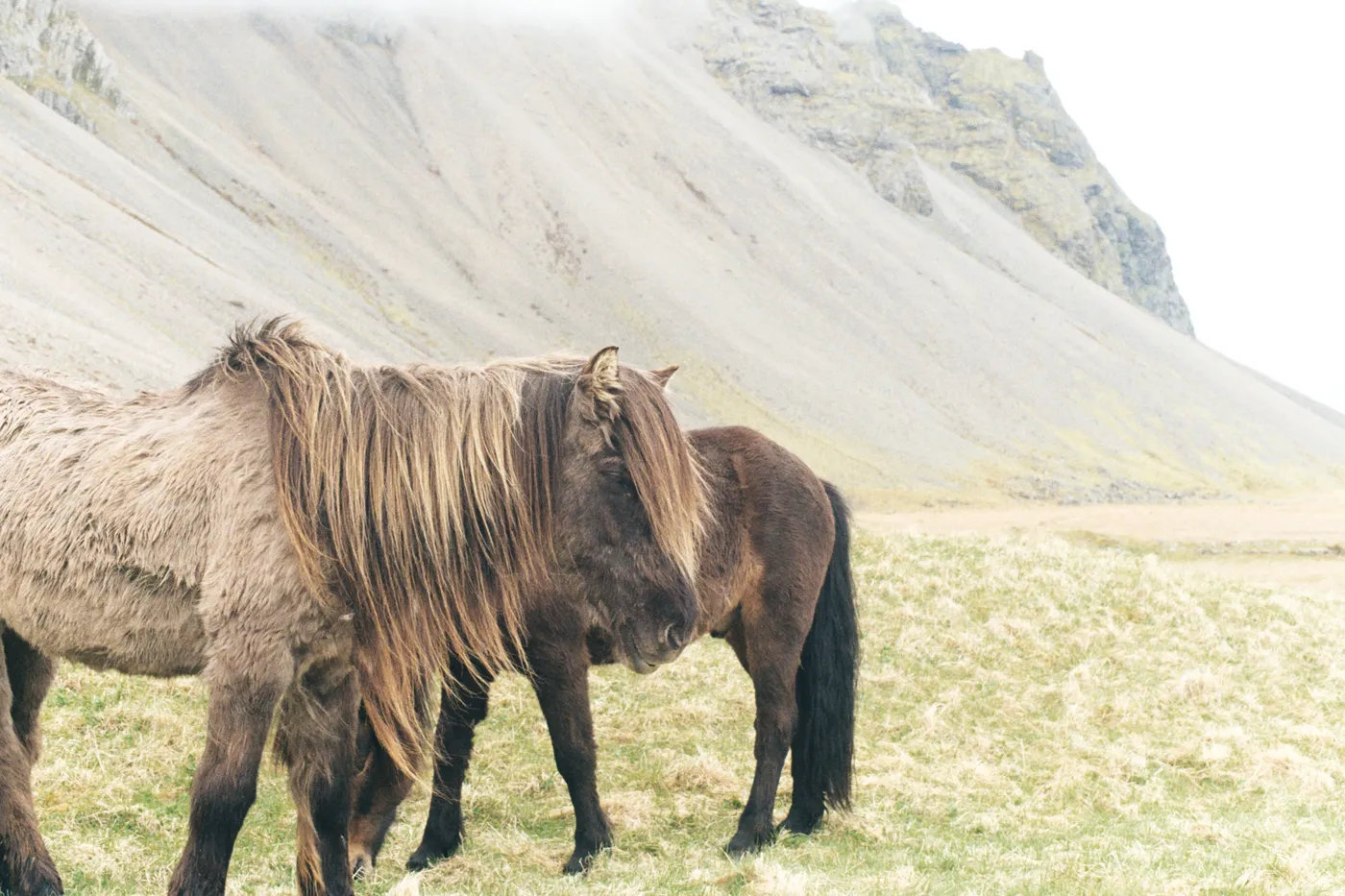 Iceland: The Ring Road — photo 10