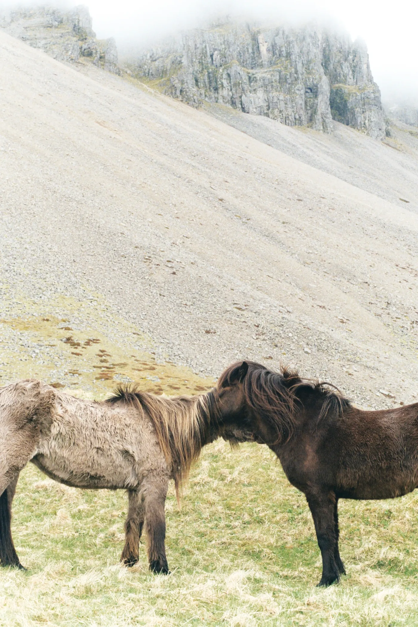 Iceland: The Ring Road — photo 11