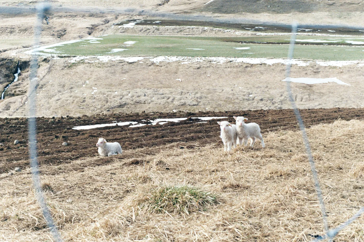 Iceland: The Ring Road — photo 18