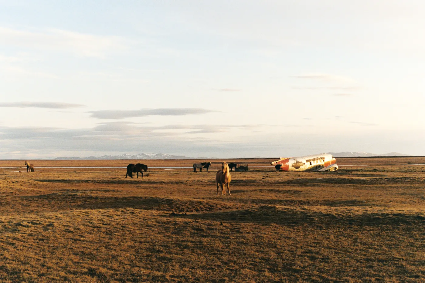 Iceland: The Ring Road — photo 23