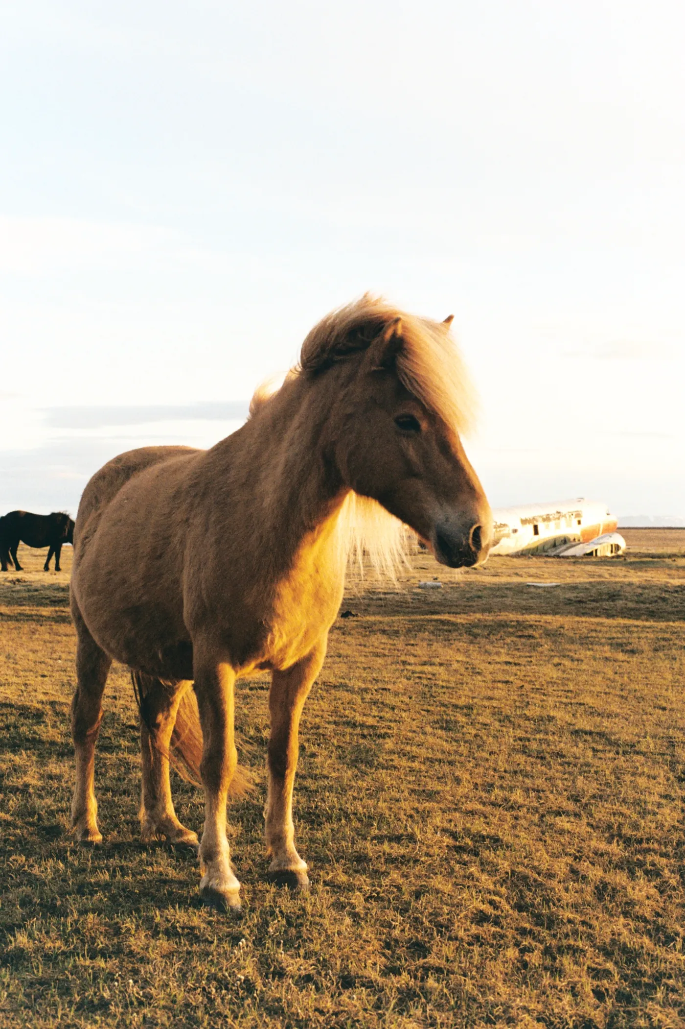 Iceland: The Ring Road — photo 24