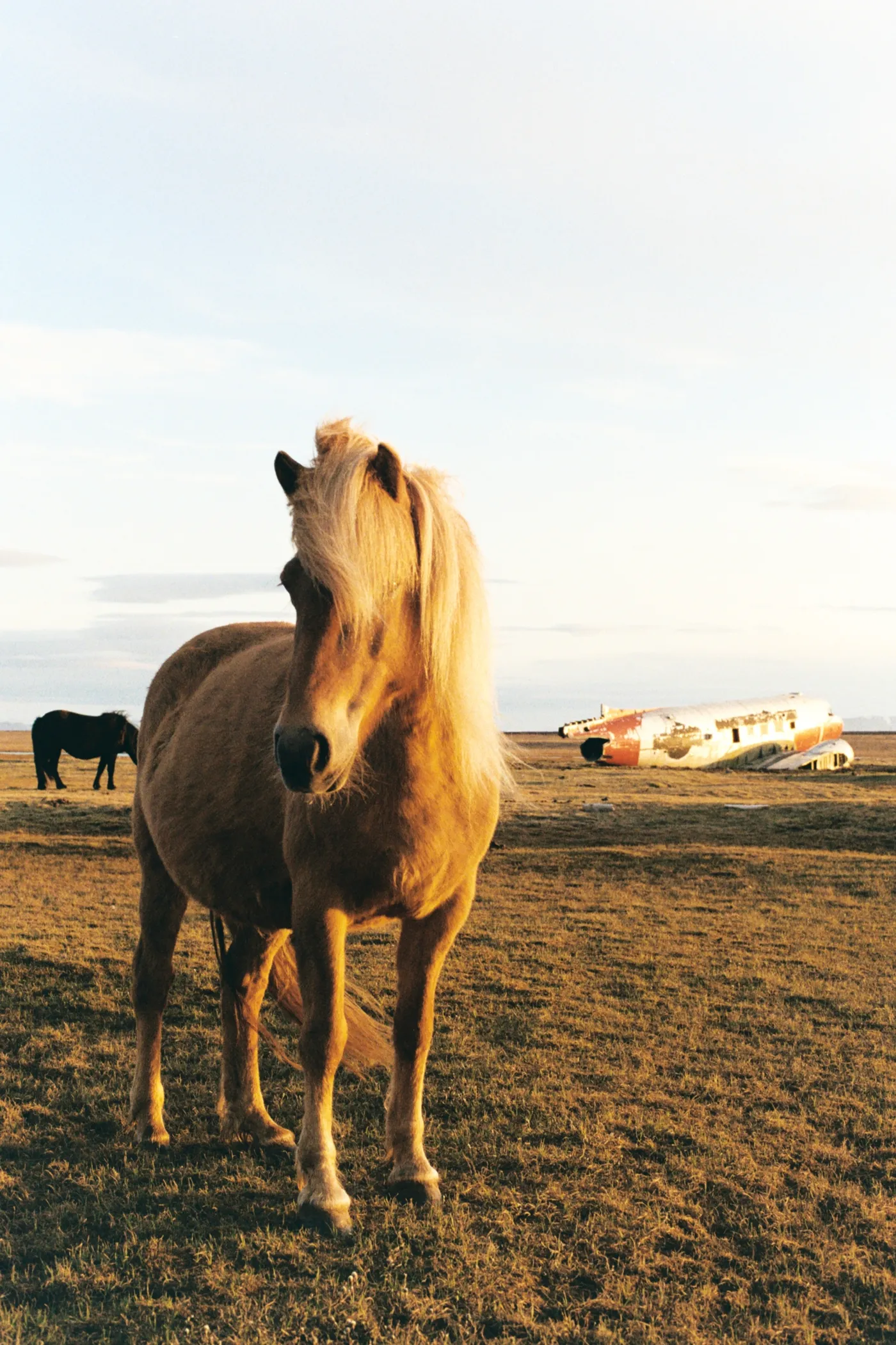 Iceland: The Ring Road — photo 25