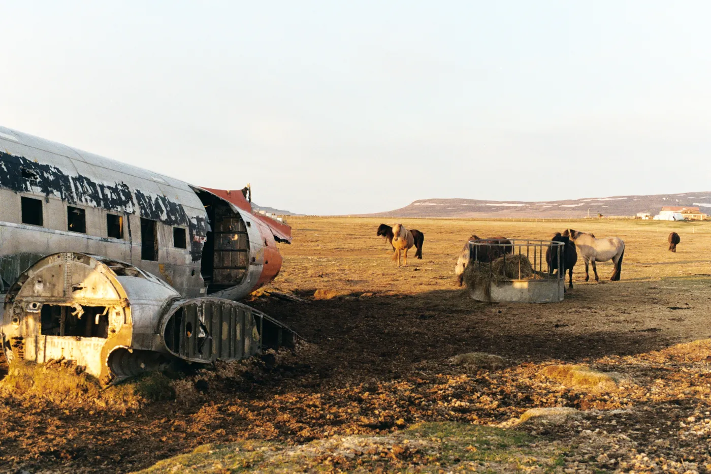 Iceland: The Ring Road — photo 26