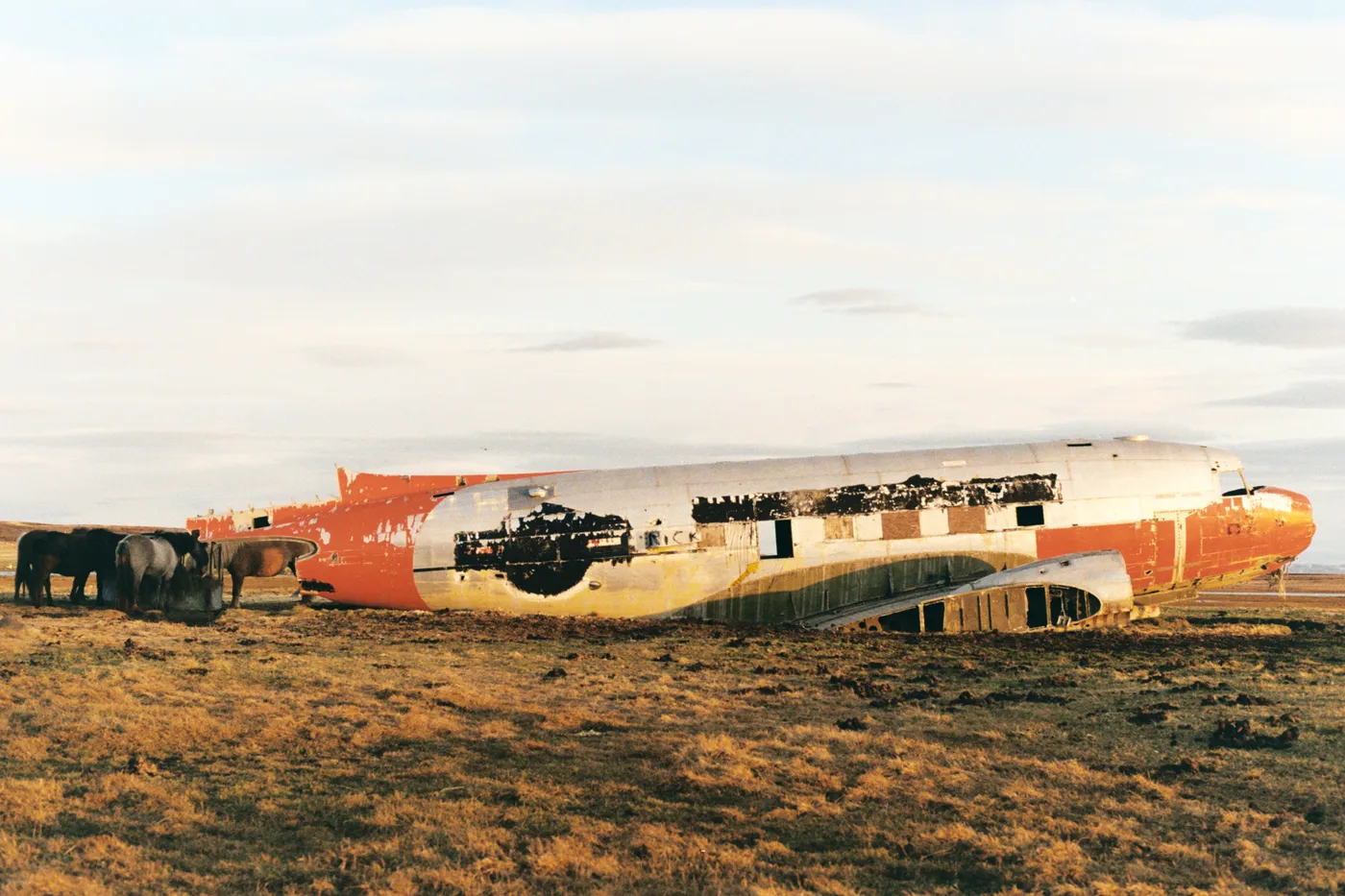 Iceland: The Ring Road — photo 27