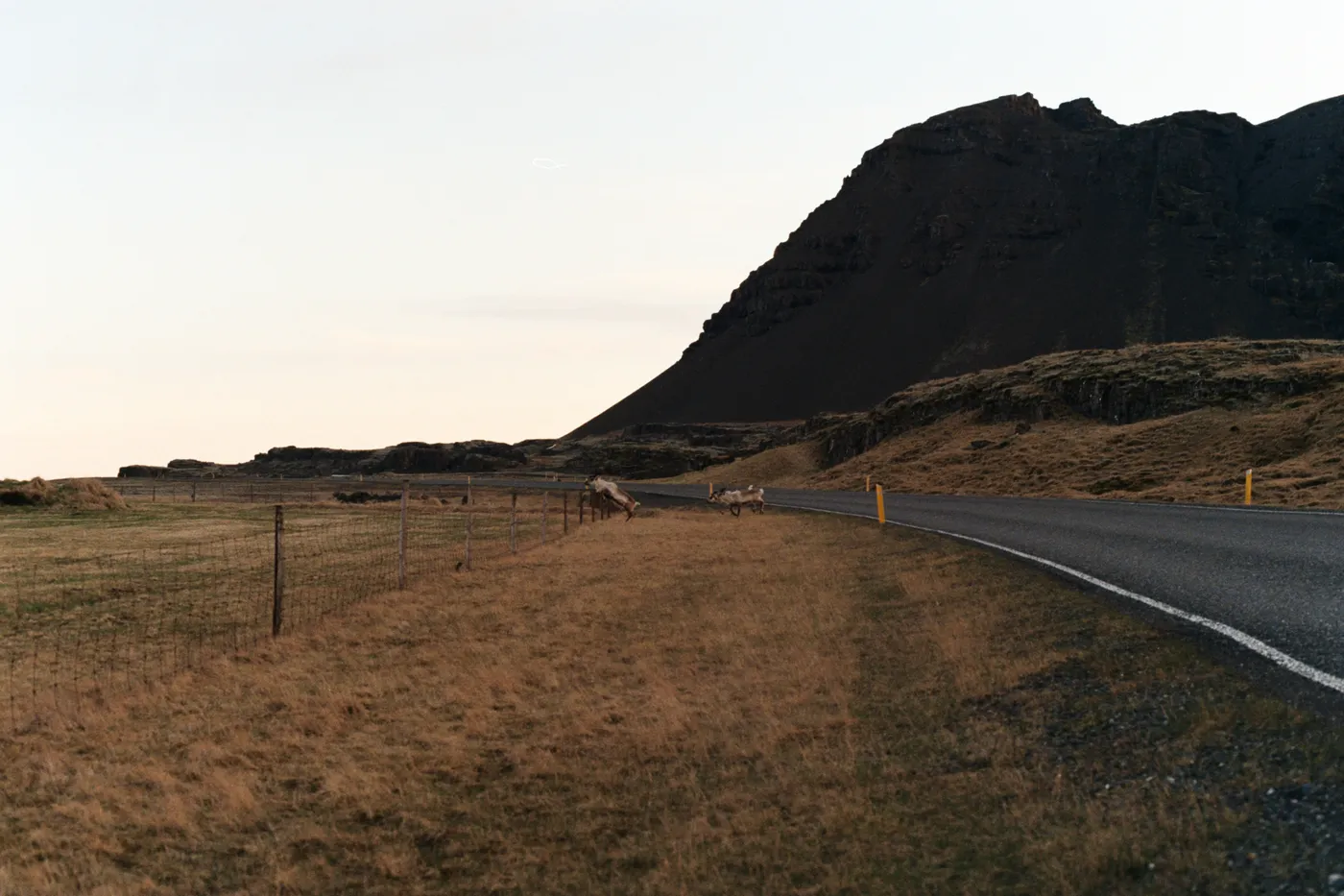 Iceland: The Ring Road — photo 4