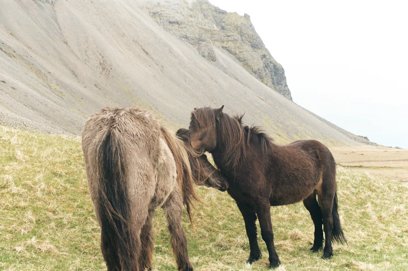 Iceland: The Ring Road — photo 8