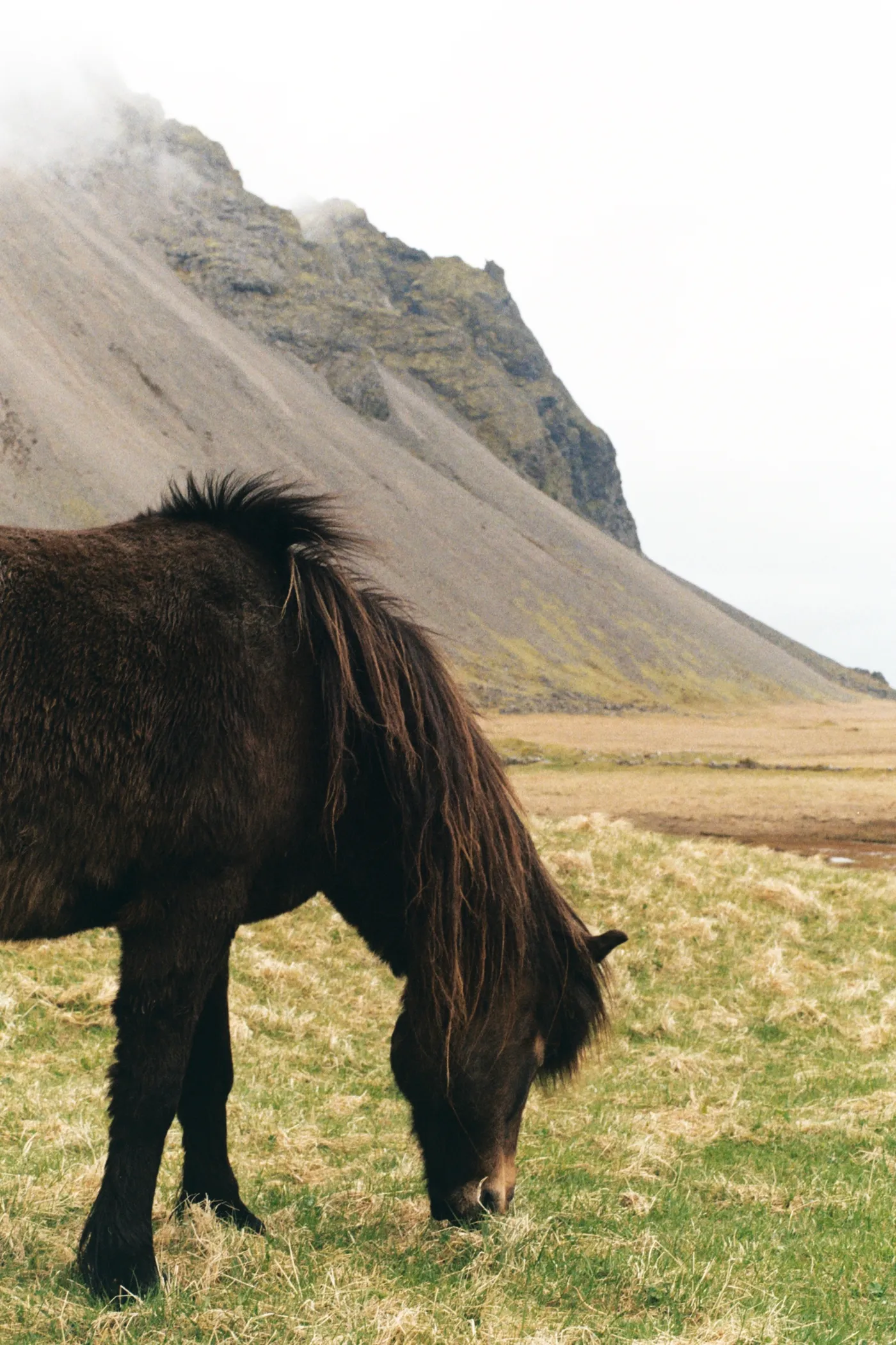 Iceland: The Ring Road — photo 9