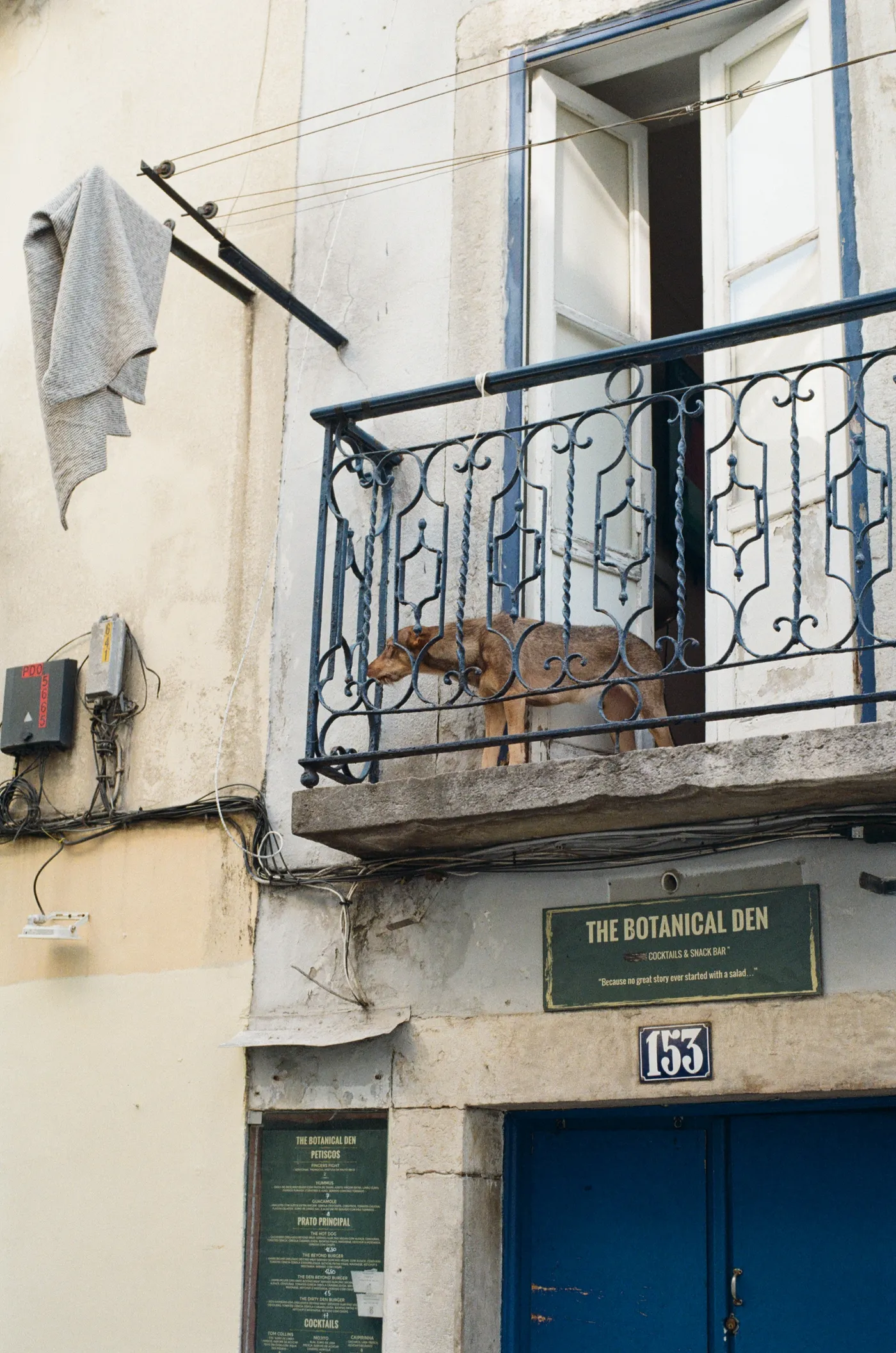 Lisbon — photo 46
