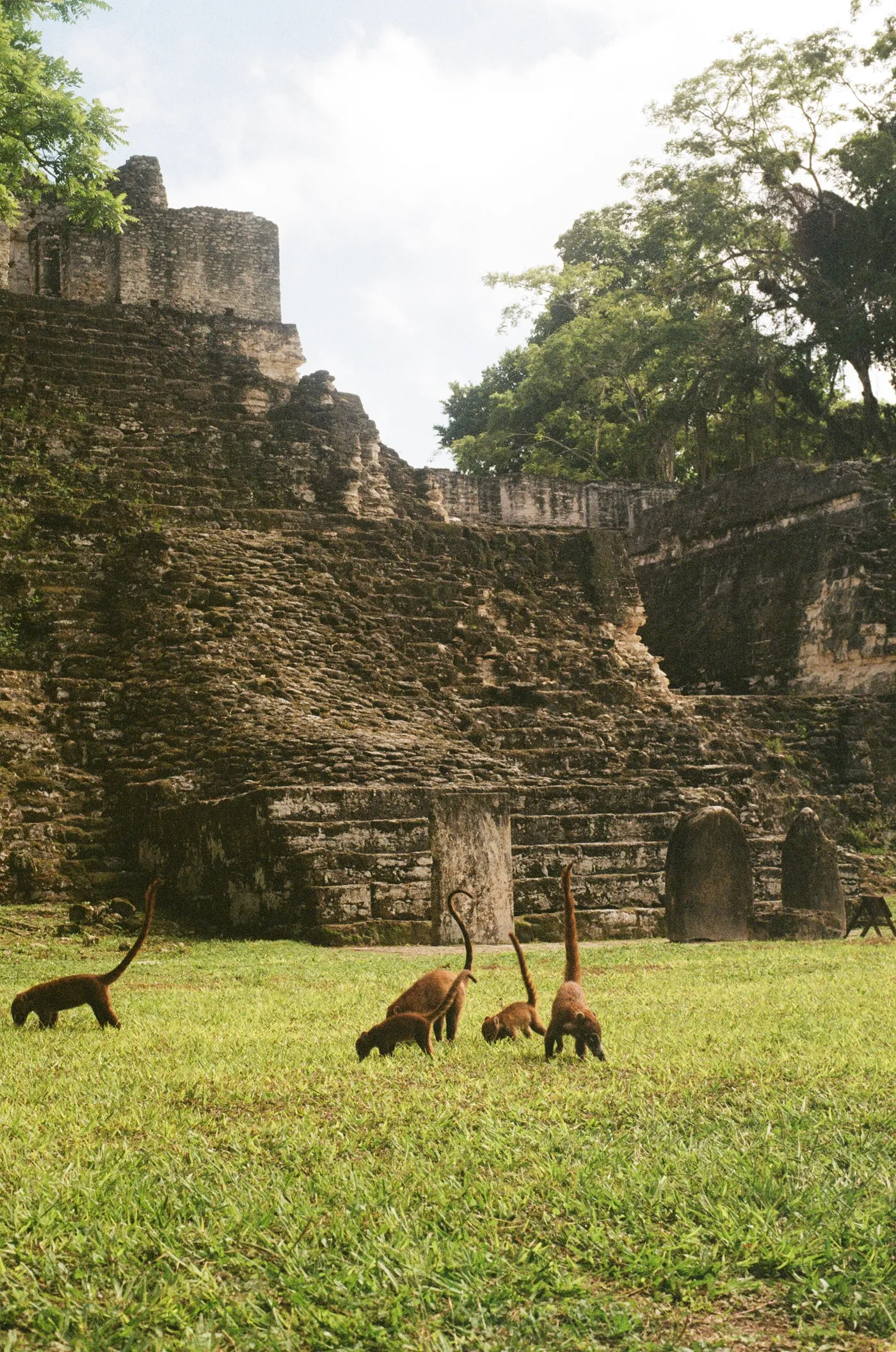Mesoamerica — photo 26