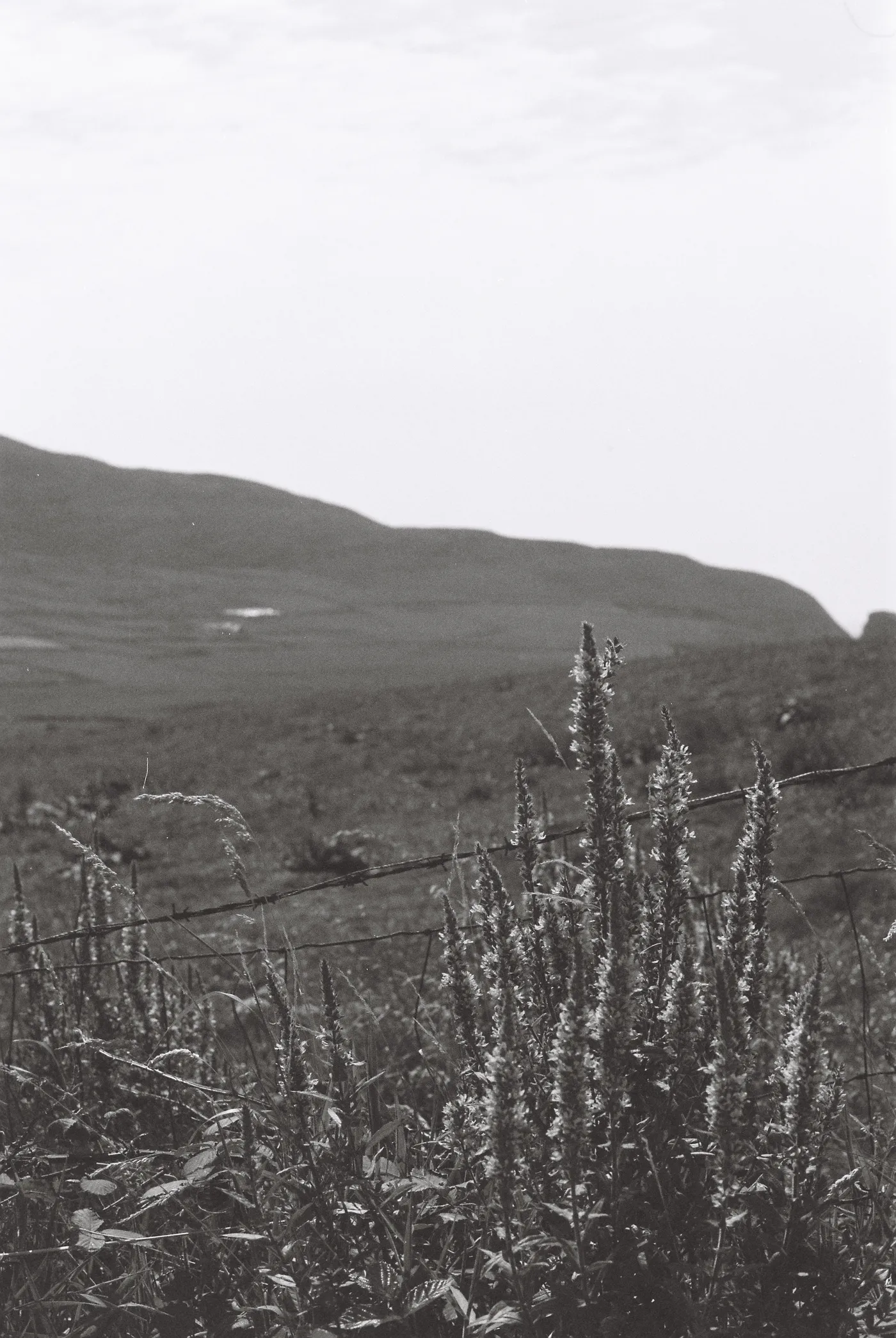 Mizen Peninsula — photo 1