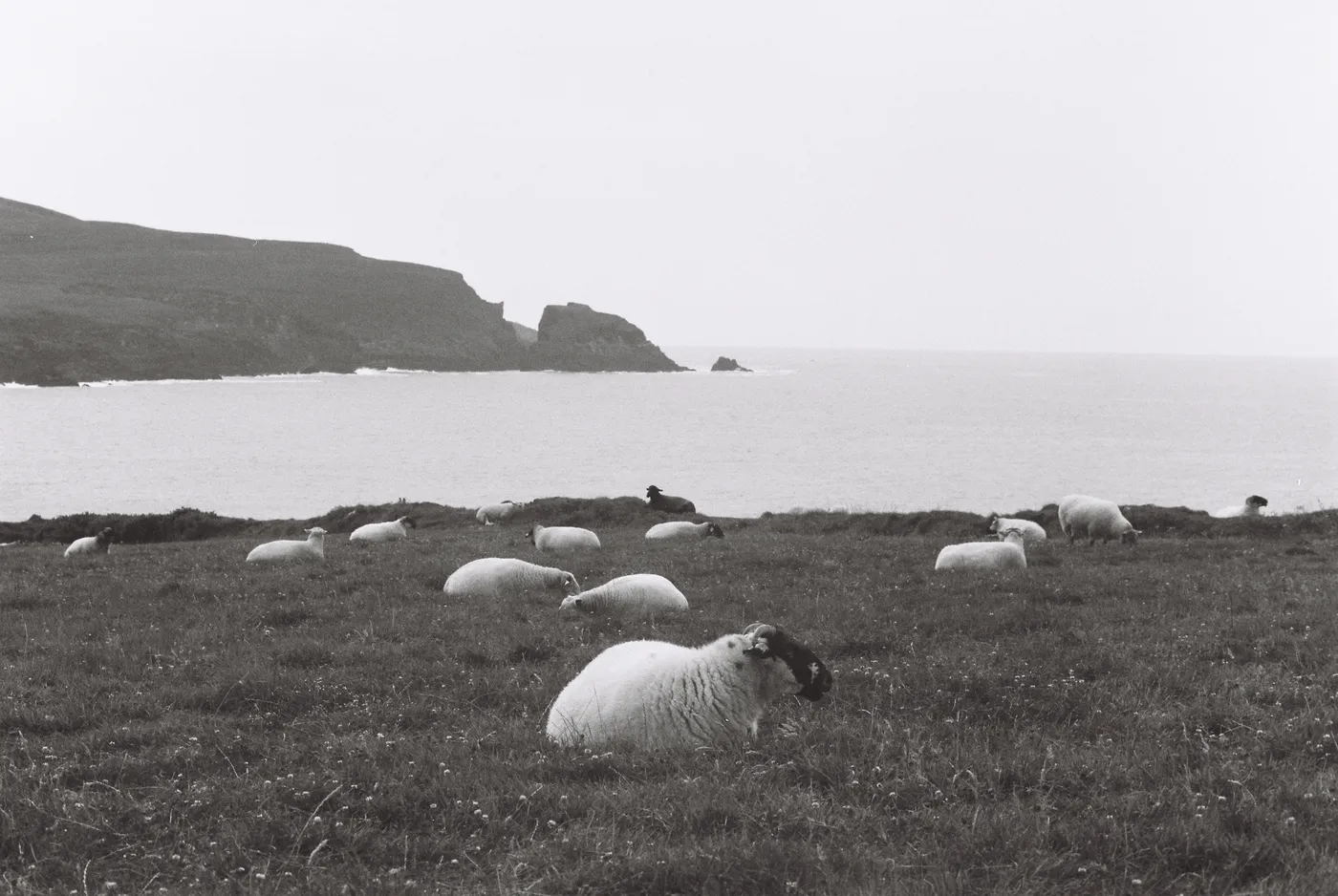 Mizen Peninsula — photo 29