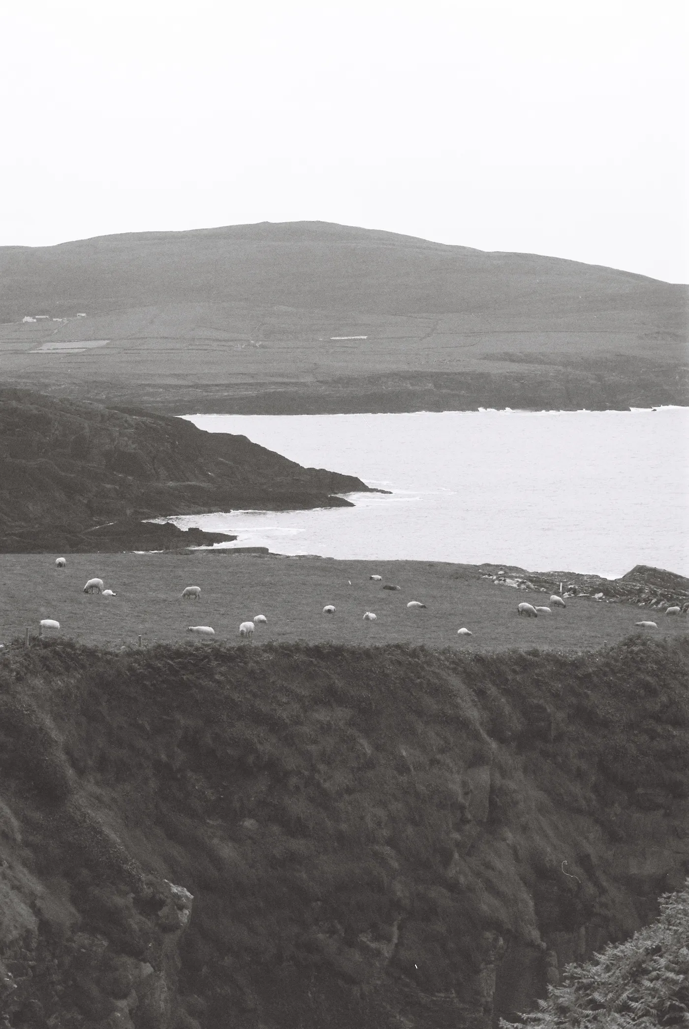 Mizen Peninsula — photo 30