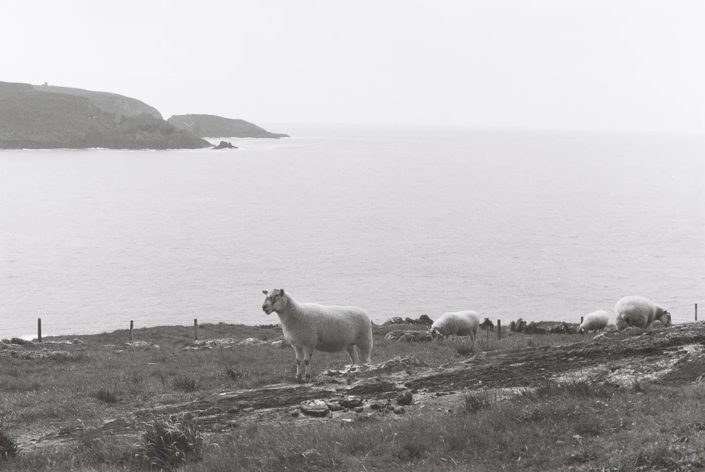 Mizen Peninsula — photo 31