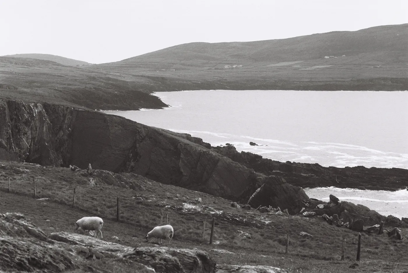 Mizen Peninsula — photo 33
