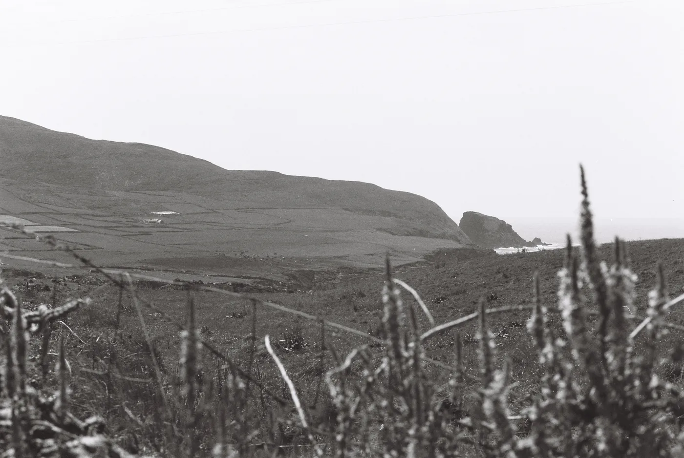 Mizen Peninsula — photo 5