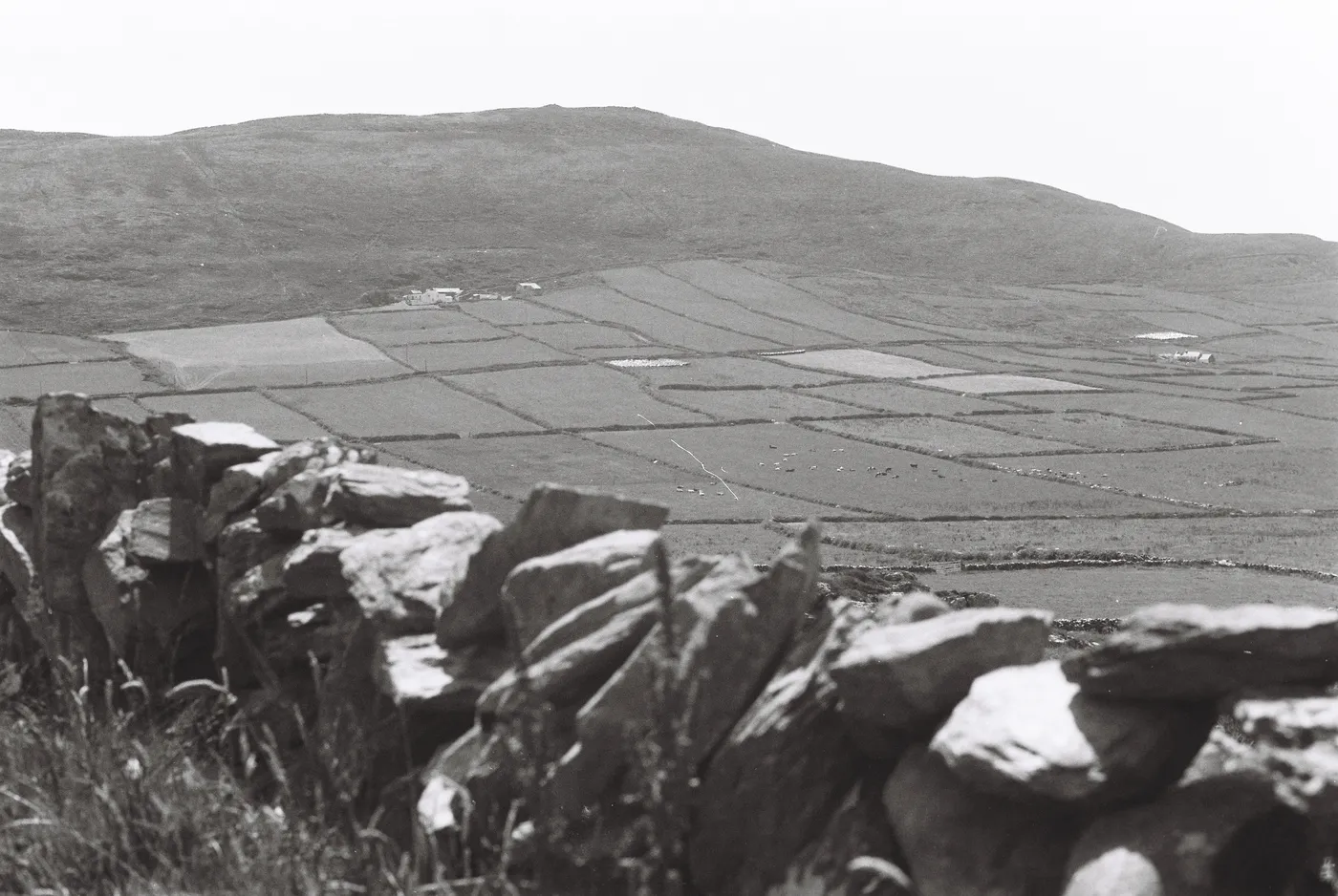 Mizen Peninsula — photo 7