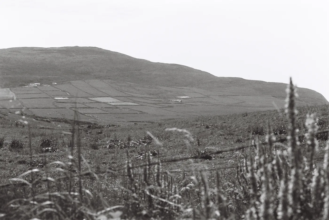 Mizen Peninsula — photo 8