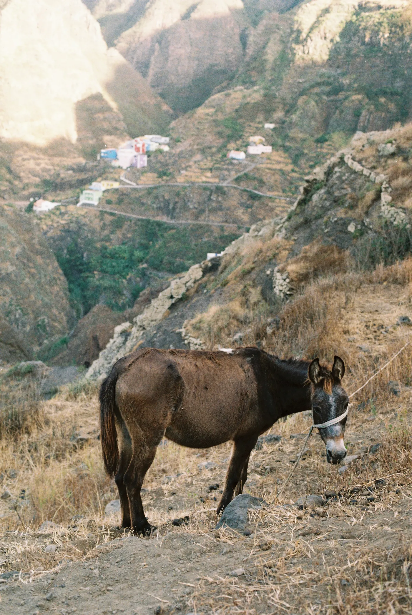 Santo Antão — photo 24