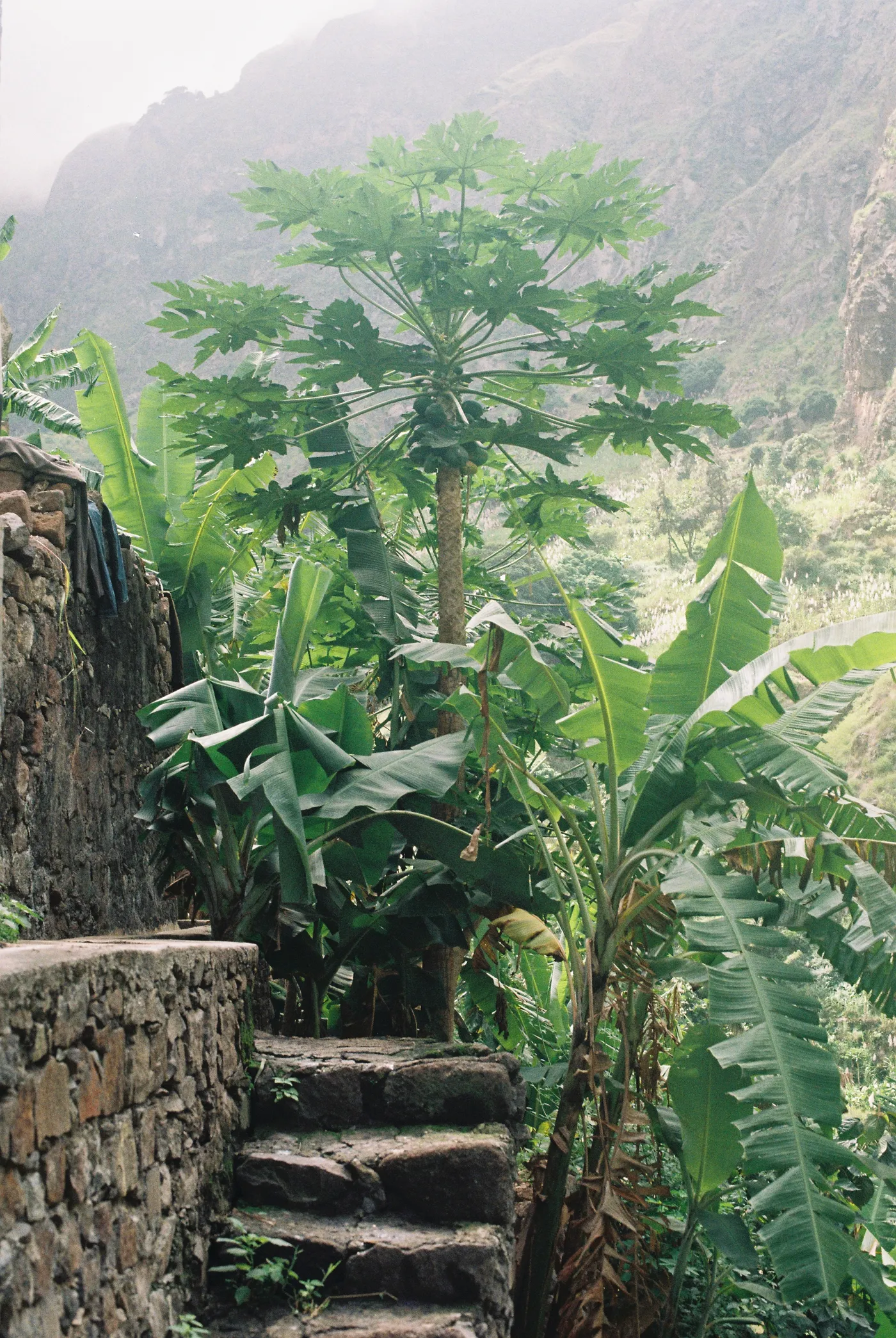 Santo Antão — photo 38