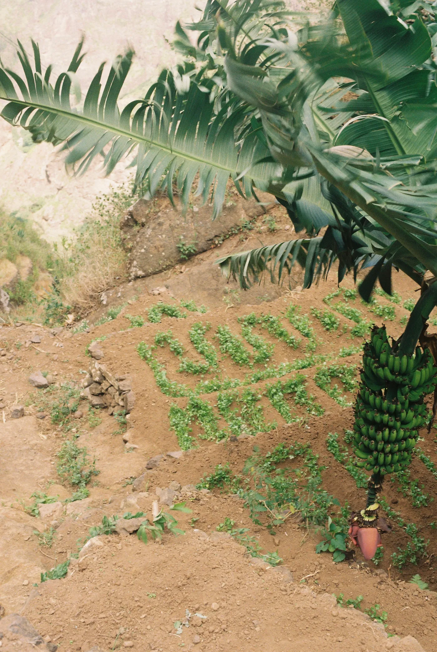 Santo Antão — photo 42