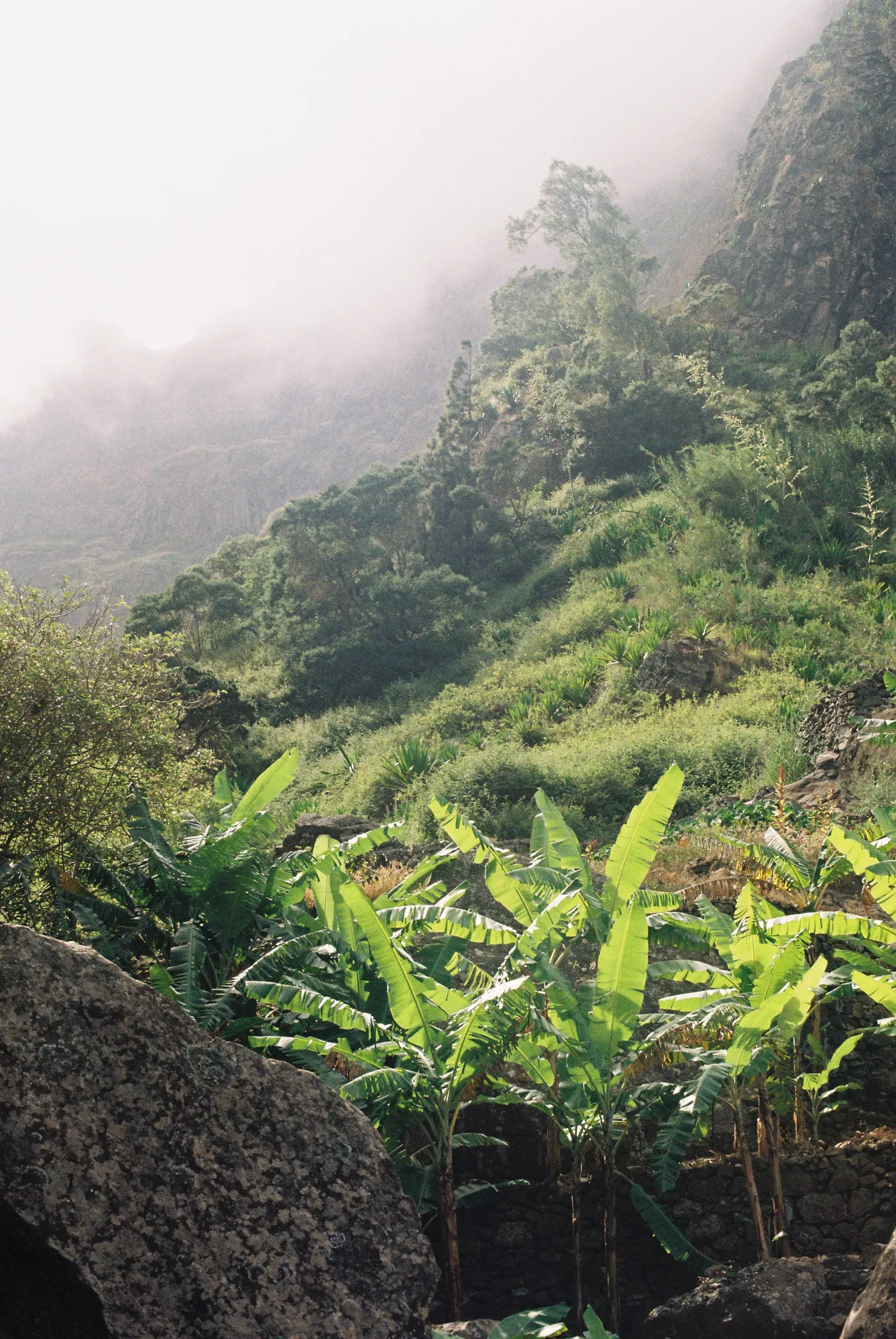 Santo Antão — photo 46
