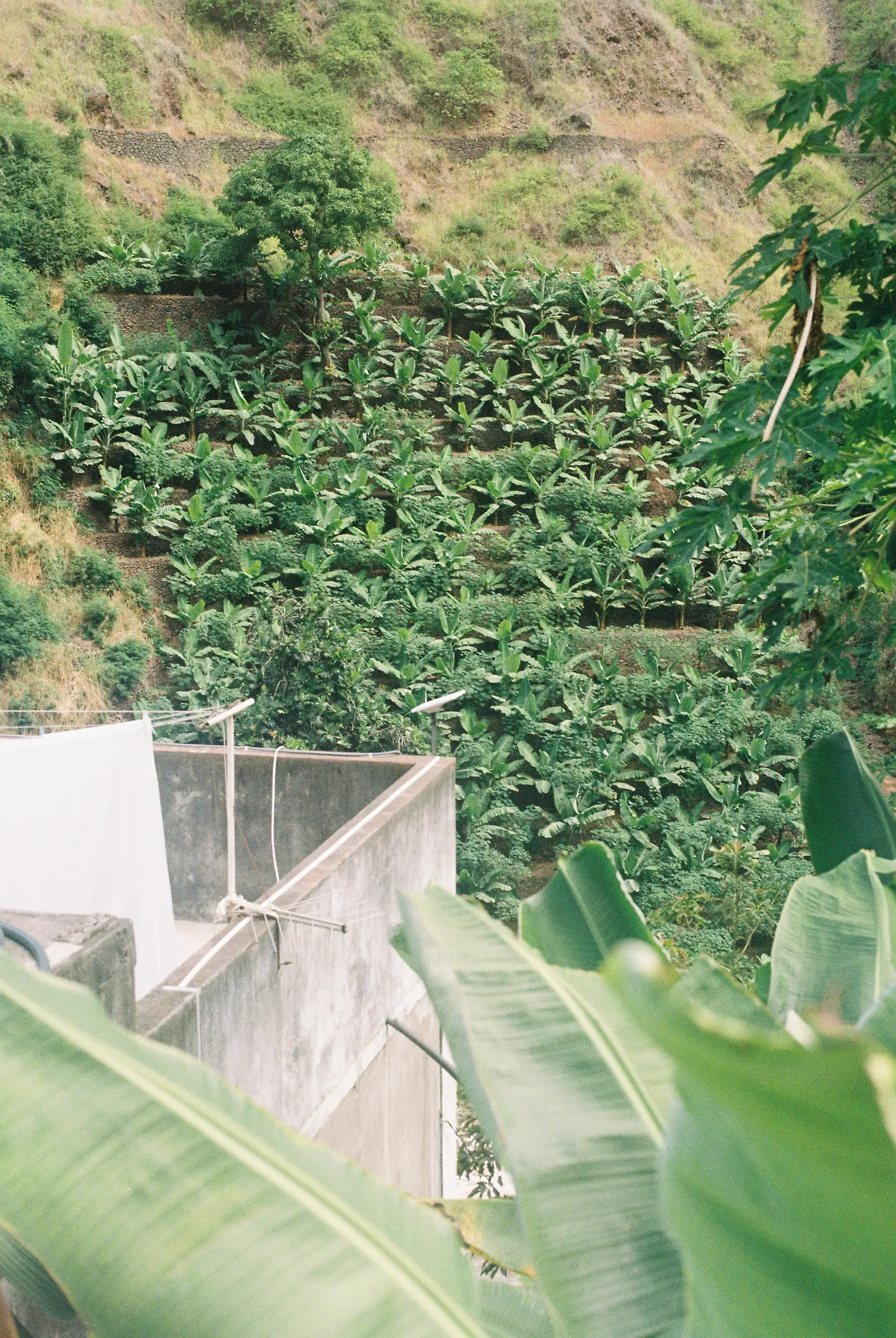 Santo Antão — photo 47