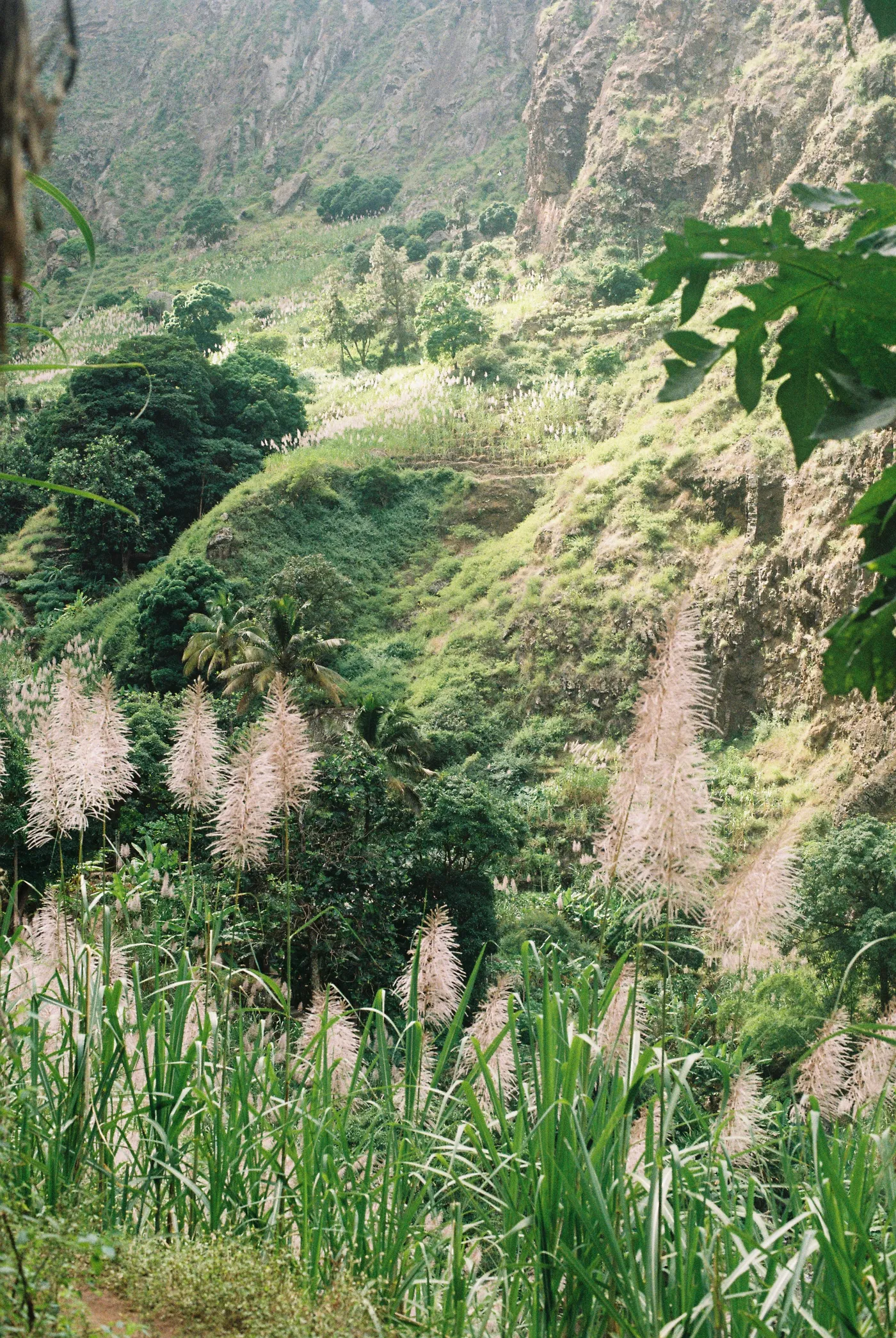 Santo Antão — photo 49