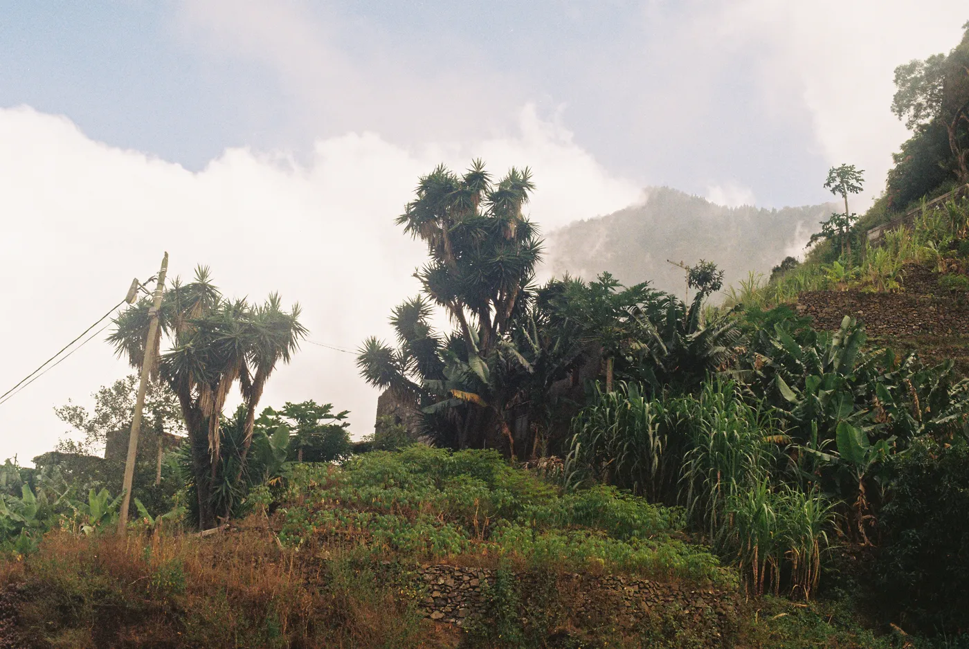 Santo Antão — photo 56