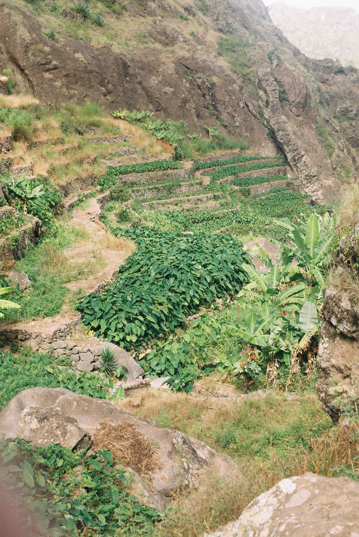 Santo Antão — photo 59
