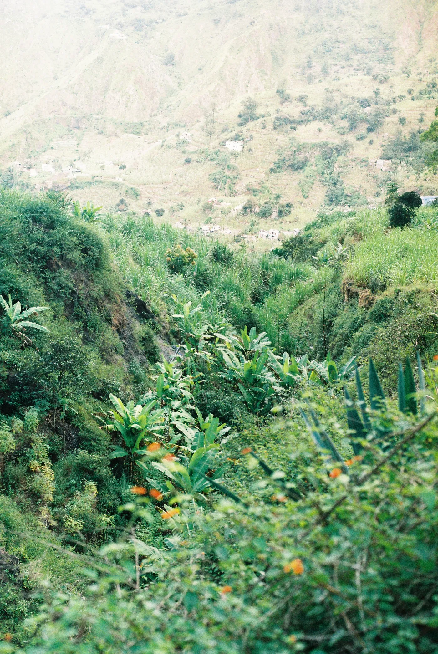 Santo Antão — photo 68