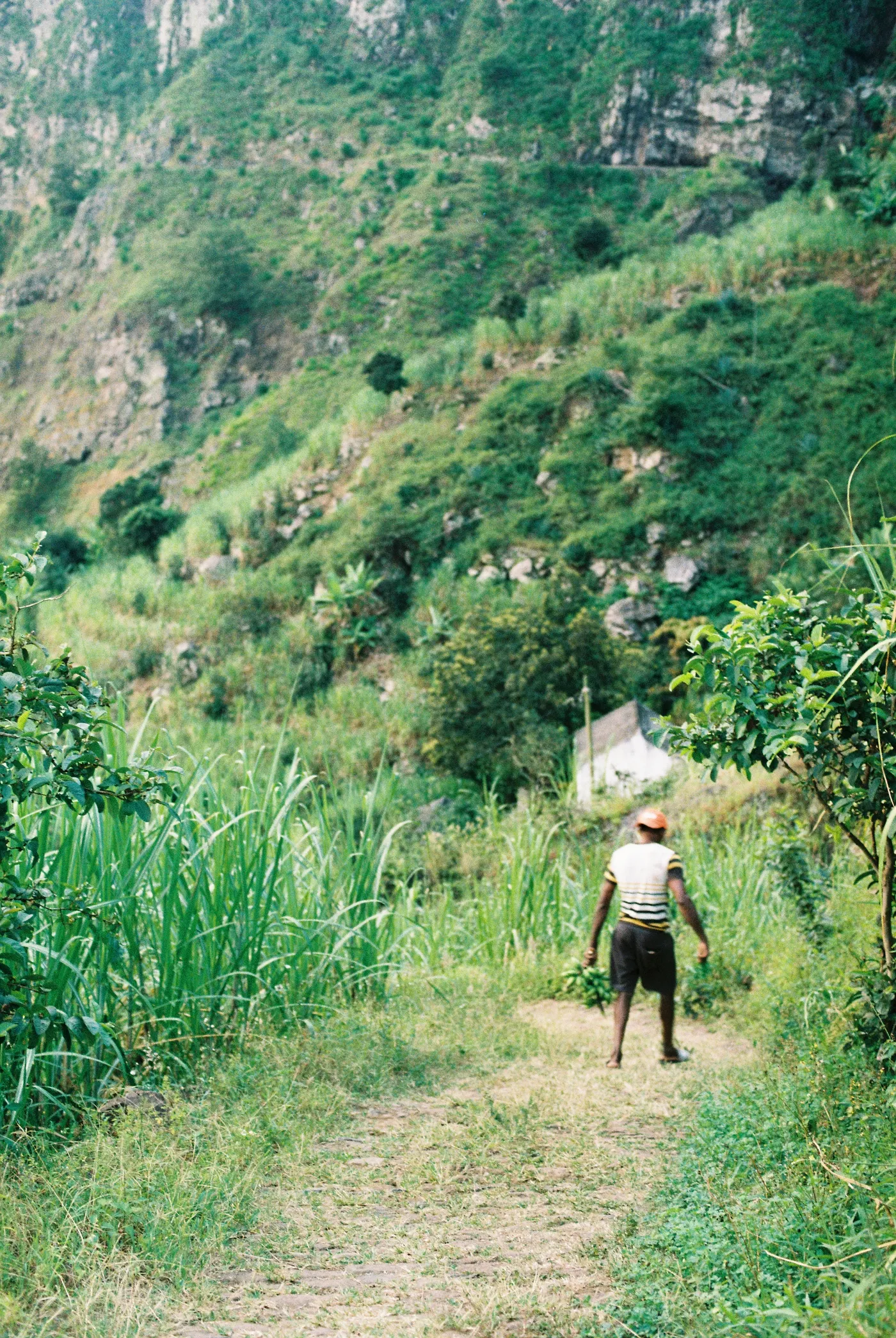 Santo Antão — photo 77