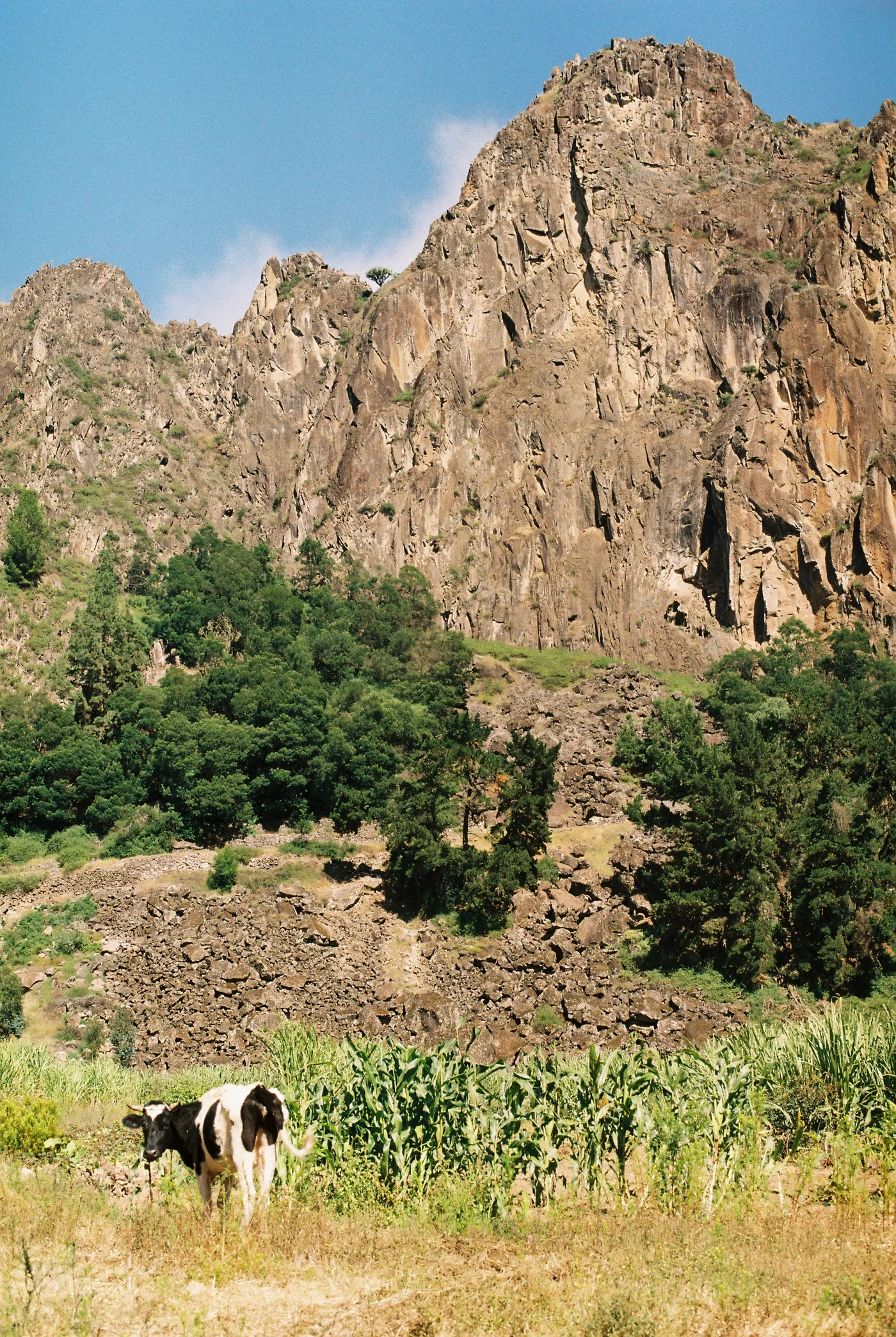 Santo Antão — photo 82