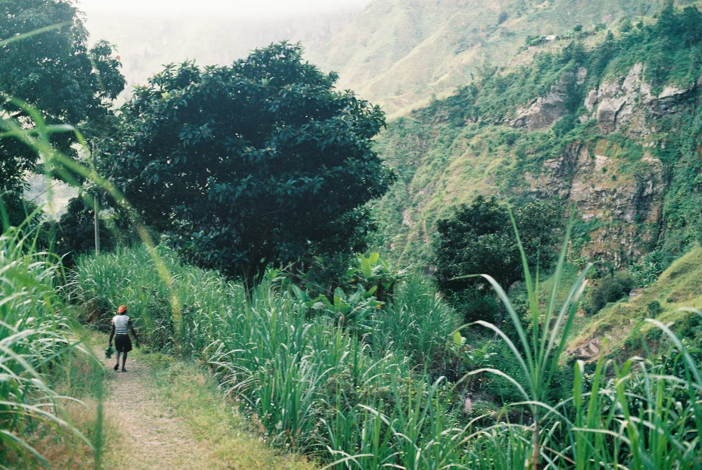 Santo Antão — photo 85