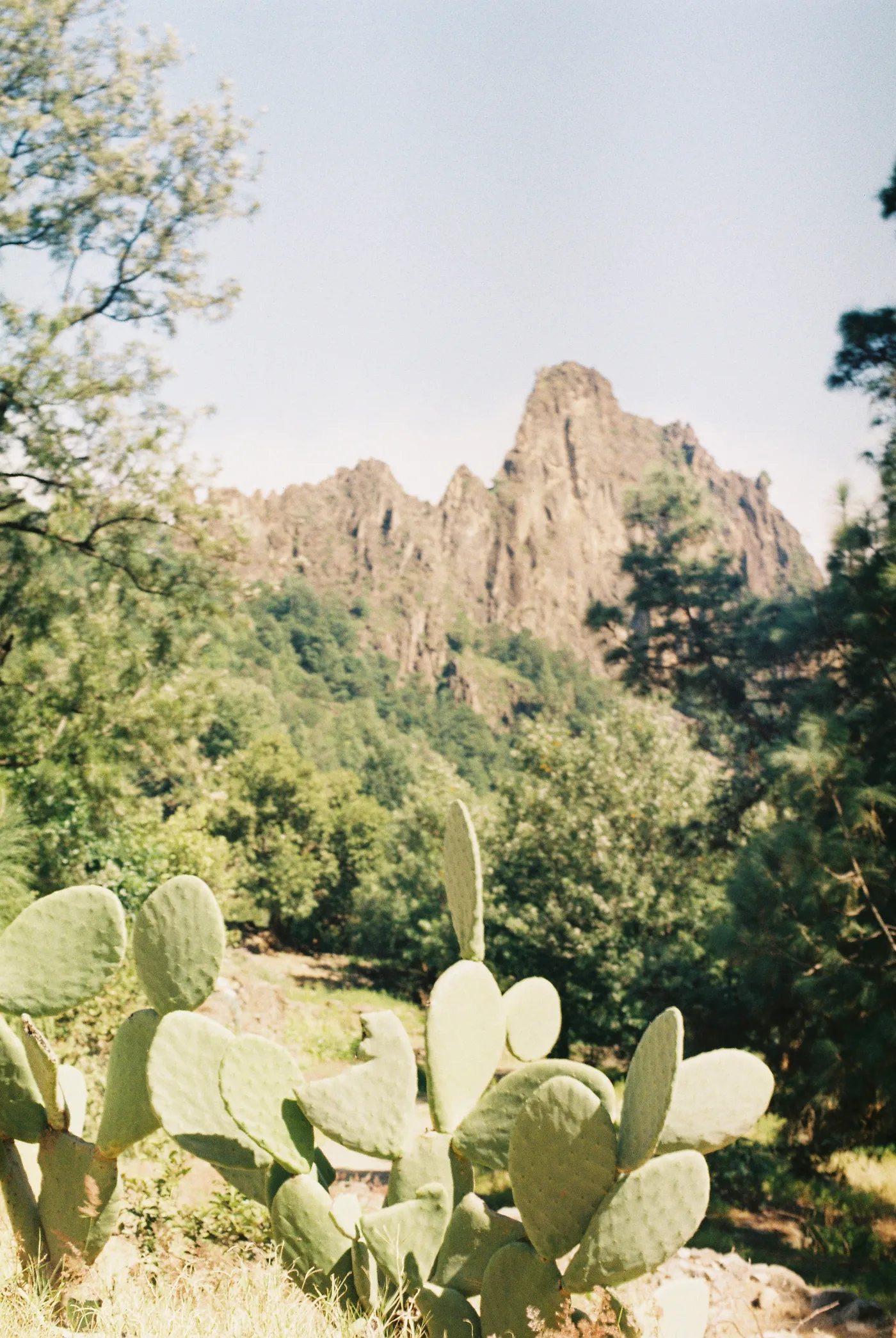 Santo Antão — photo 89