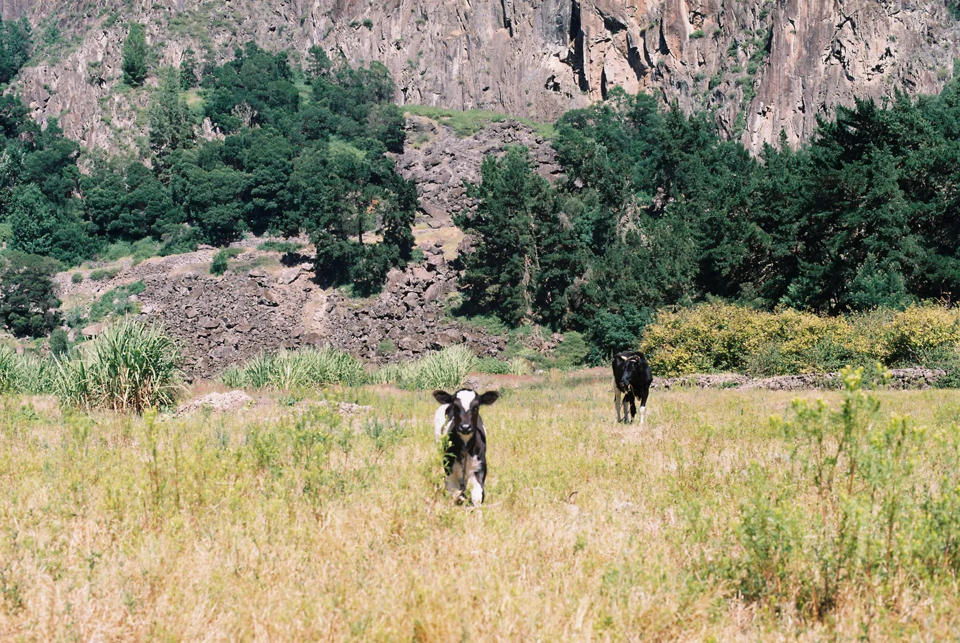 Santo Antão — photo 91