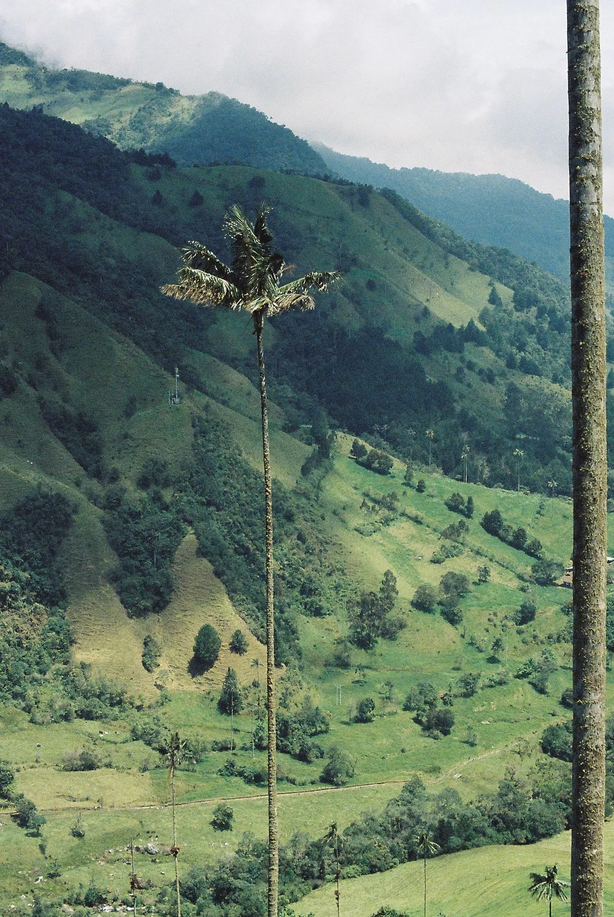 Colombia & Peru — photo 1