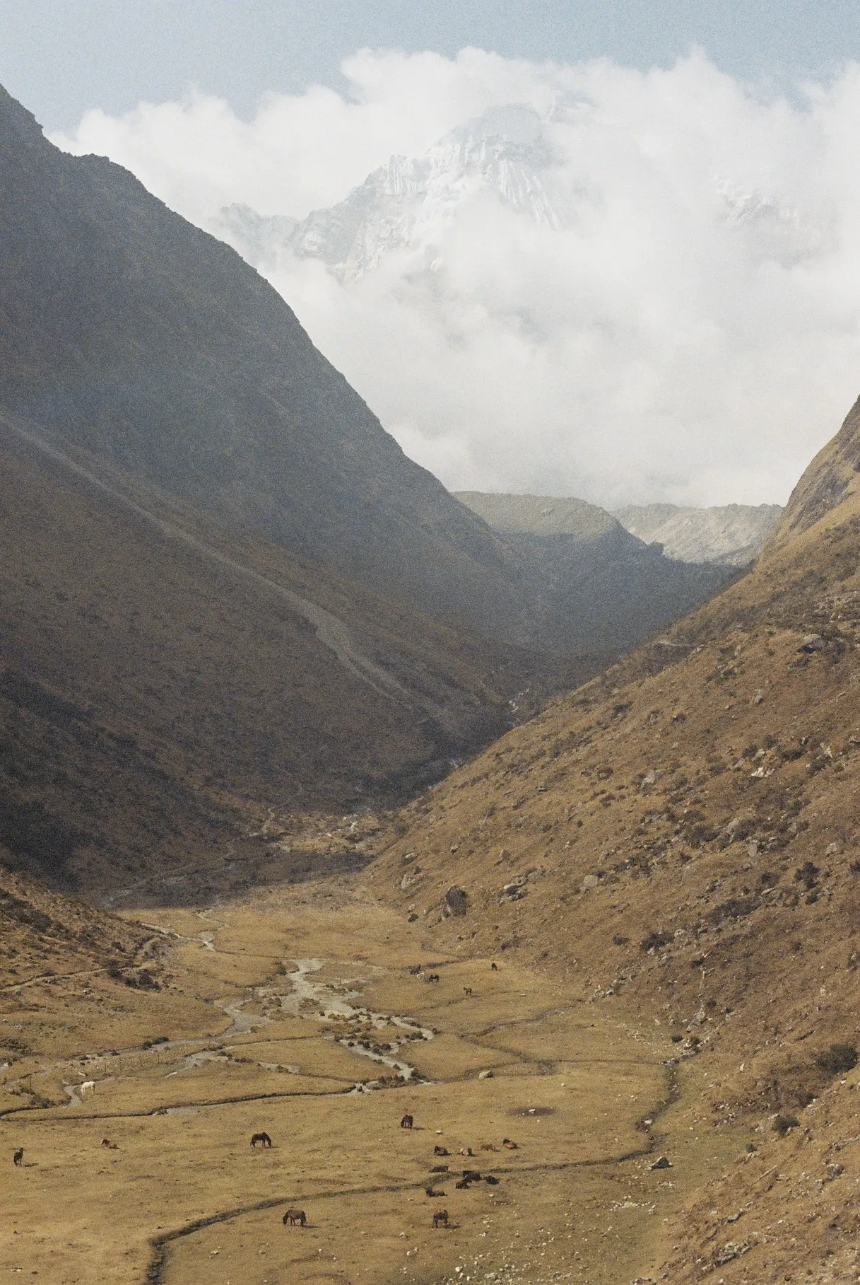 Colombia & Peru — photo 14