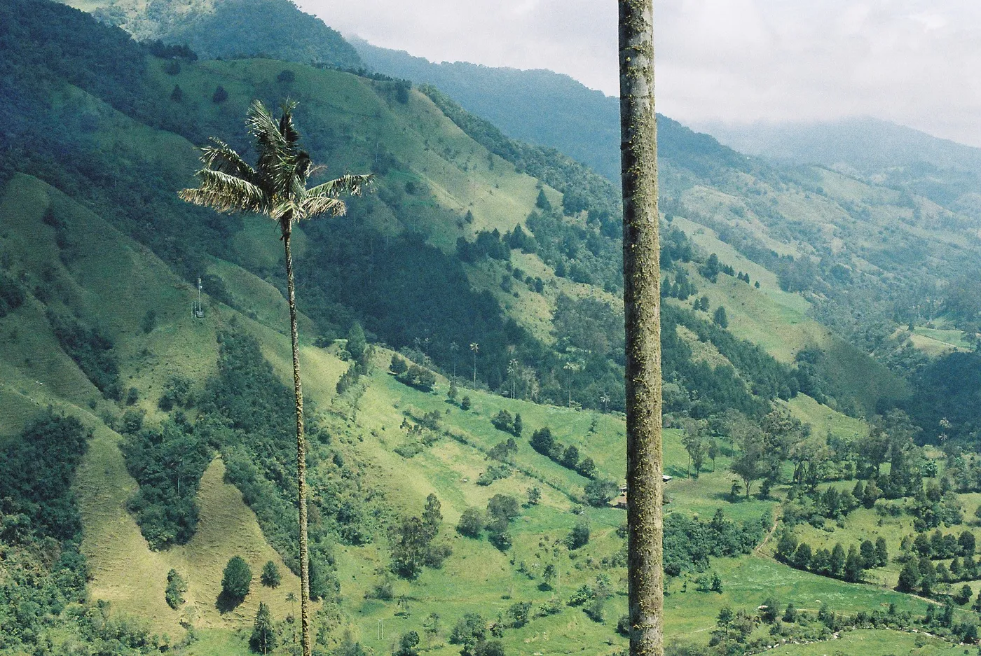 Colombia & Peru — photo 2