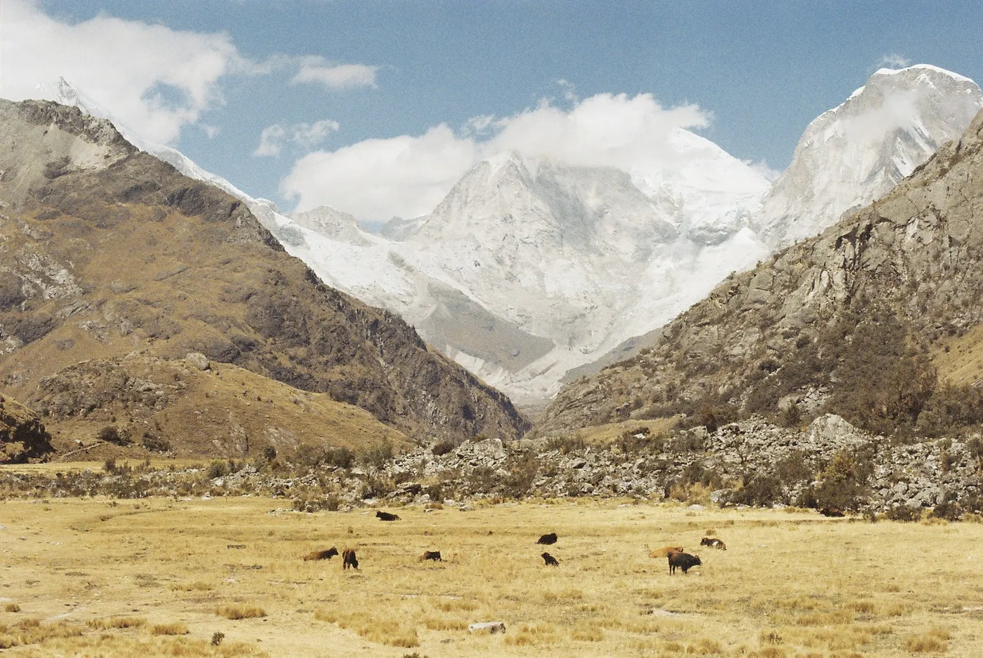 Colombia & Peru — photo 8