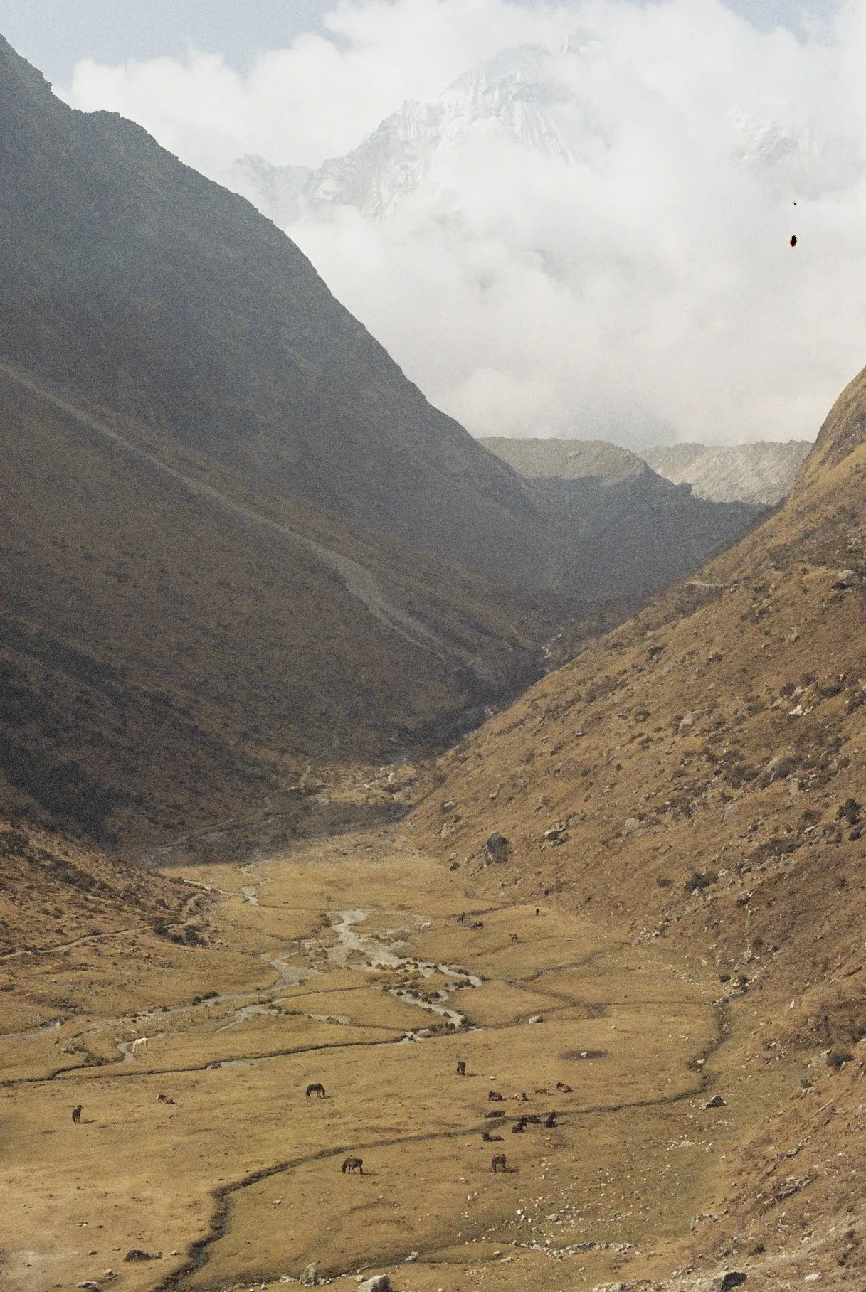 Mountain landscape on the Machu Picchu trek