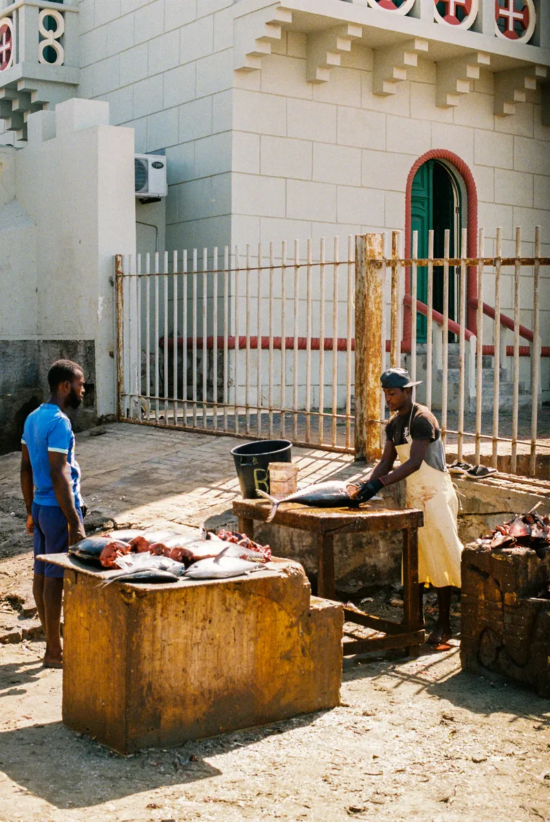 Cleaning fish outside the market in Mindelo, São Vicente