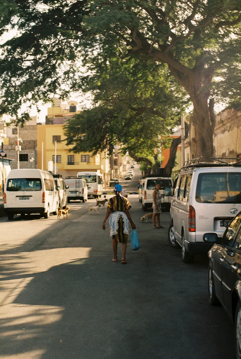 Street shaded by a large tree in Mindelo, São Vicente