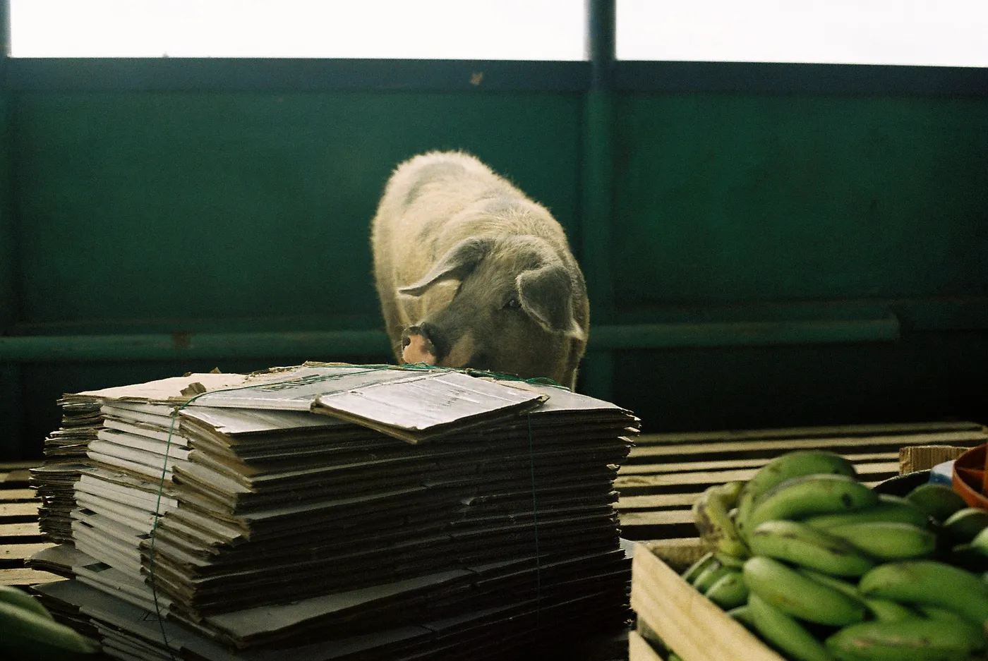 Slow Boat from Leticia to Iquitos — photo 11