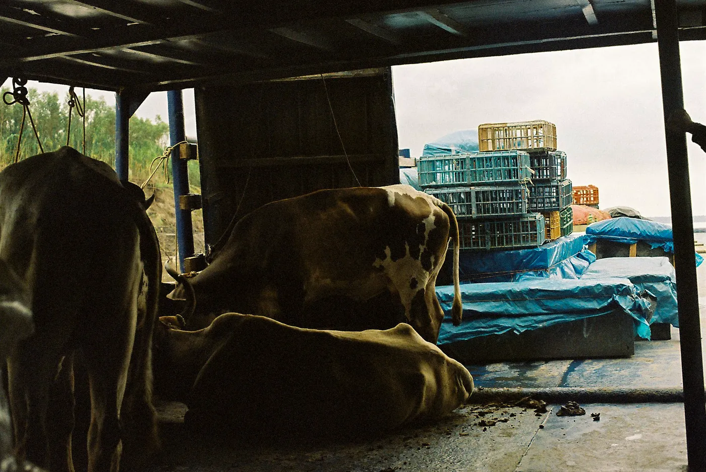 Slow Boat from Leticia to Iquitos — photo 10