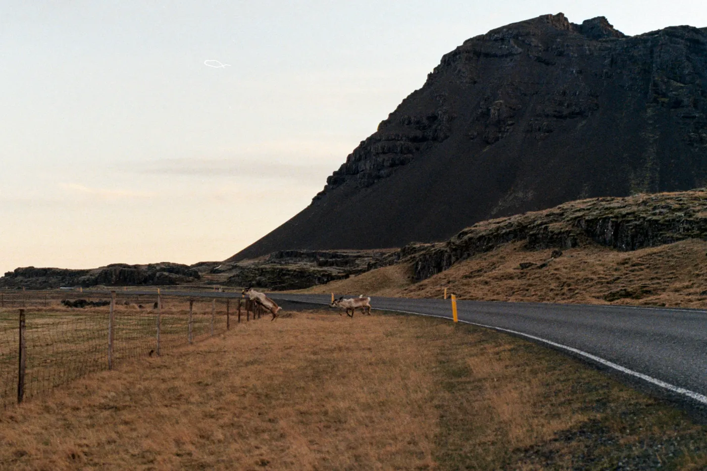 The Ring Road of Iceland — photo 3