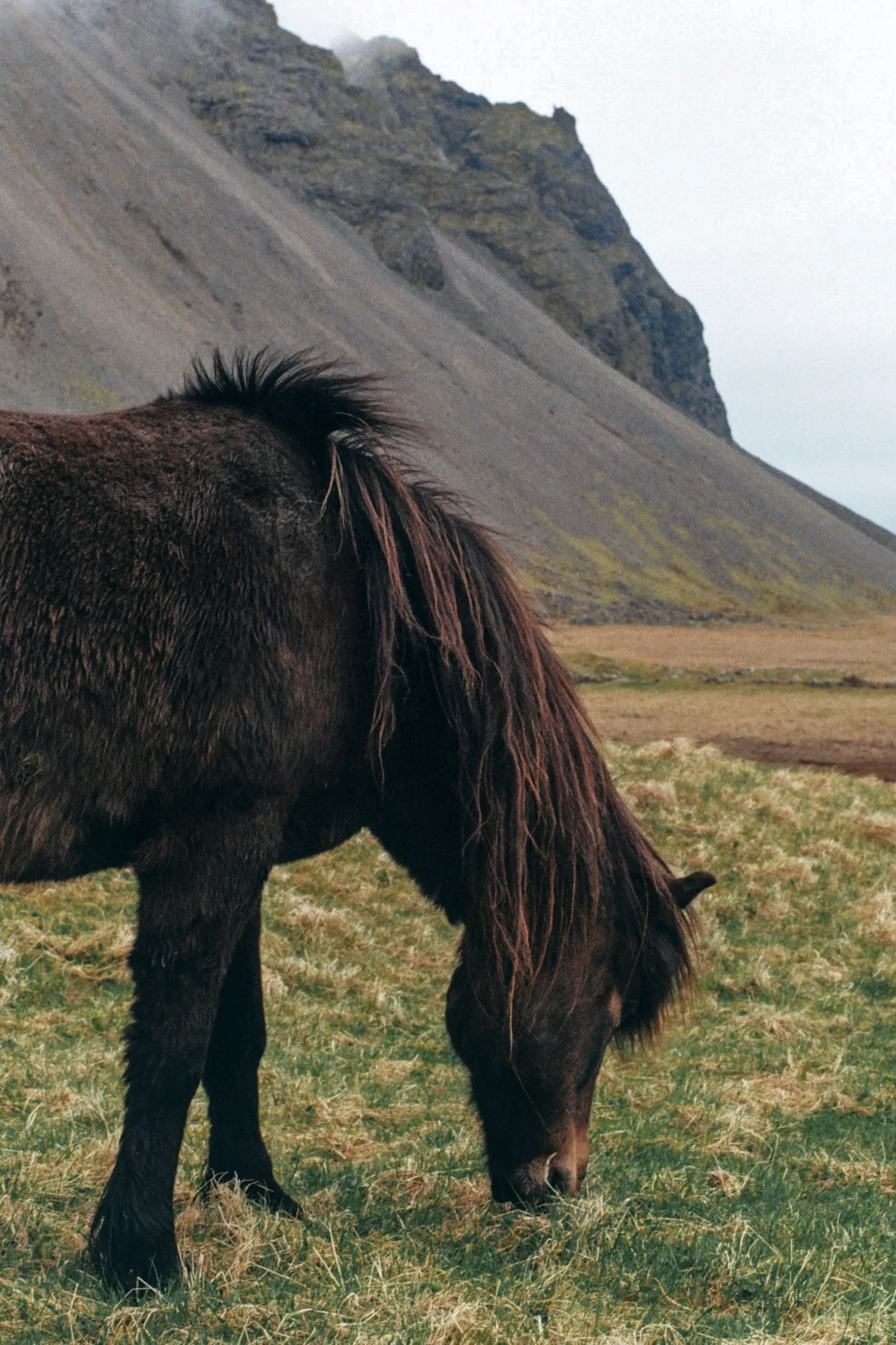 The Ring Road of Iceland — photo 6